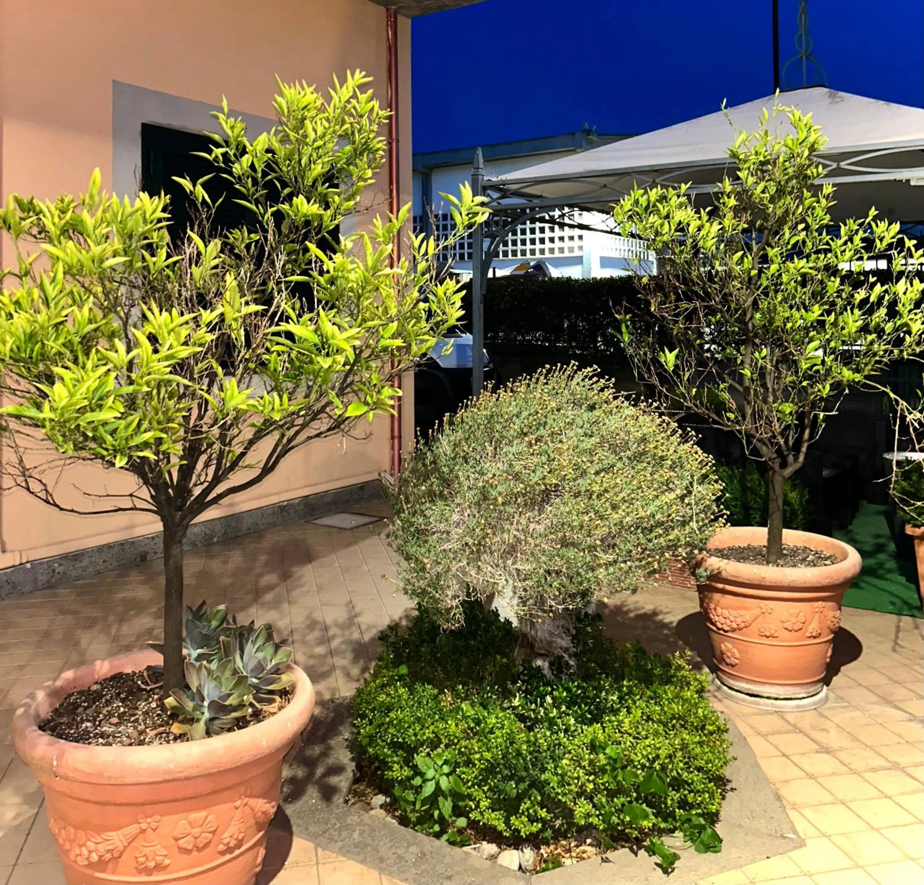 Garden in Hotel Dei Tartari