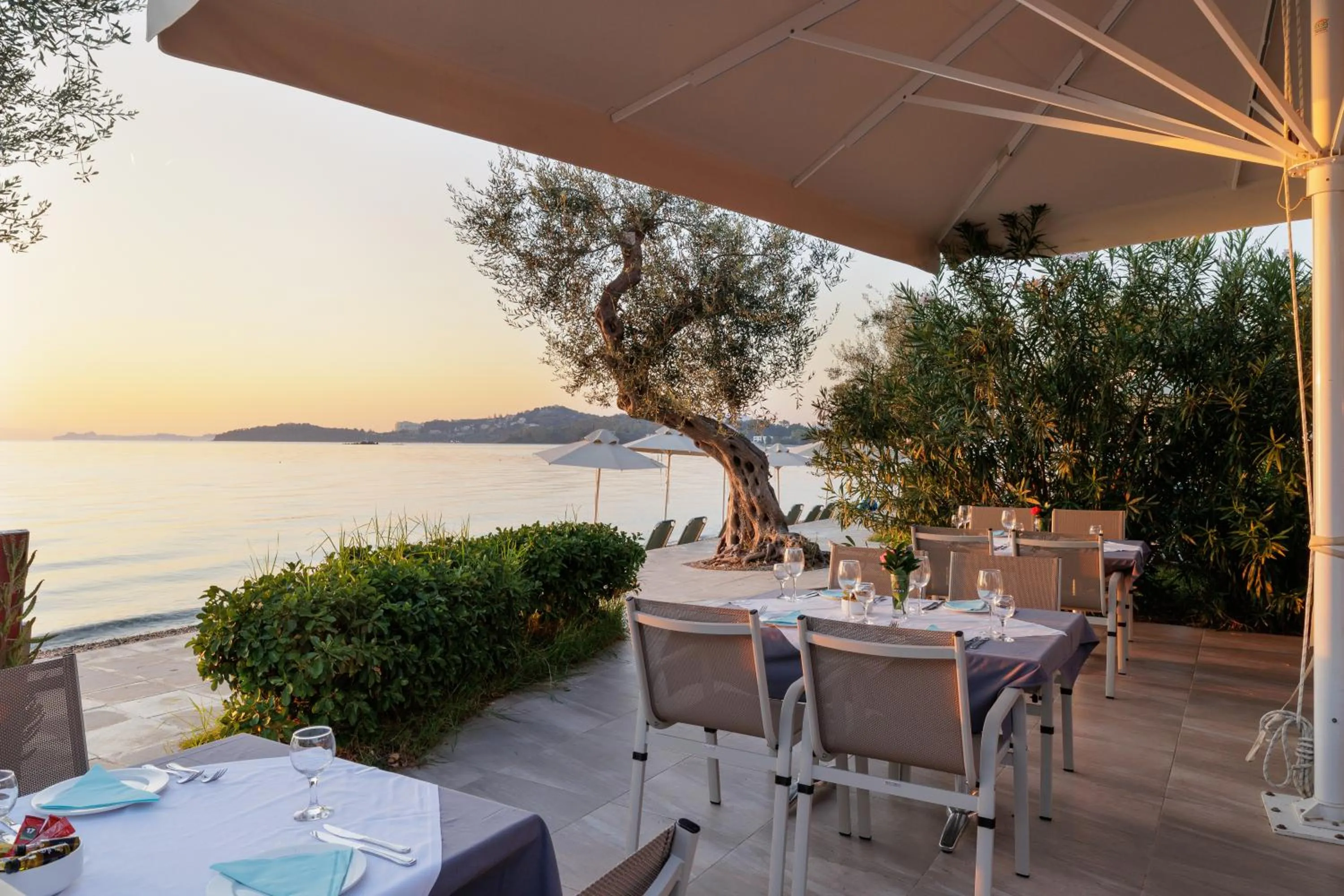 Restaurant/places to eat in Elea Beach Hotel