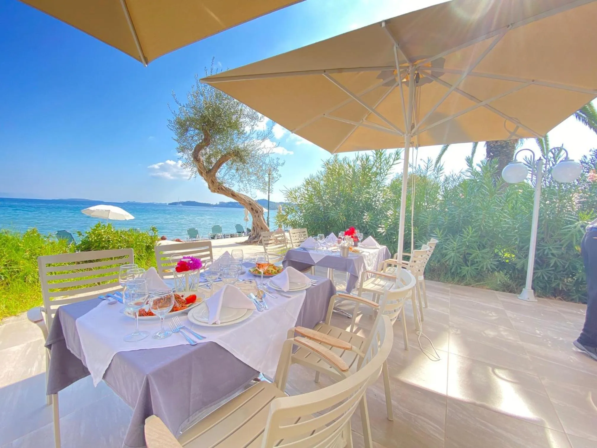 Restaurant/places to eat in Elea Beach Hotel