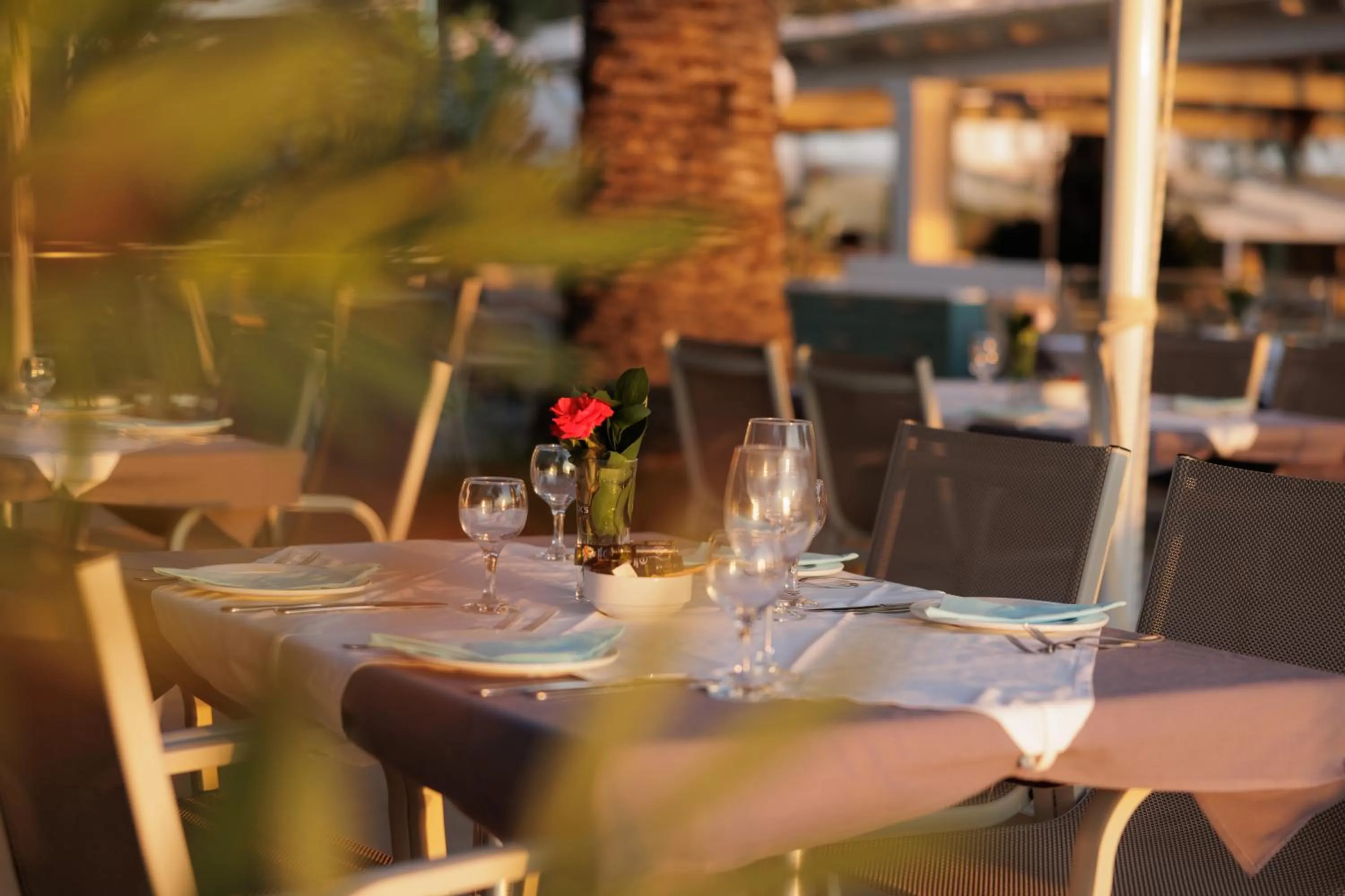 Restaurant/places to eat in Elea Beach Hotel