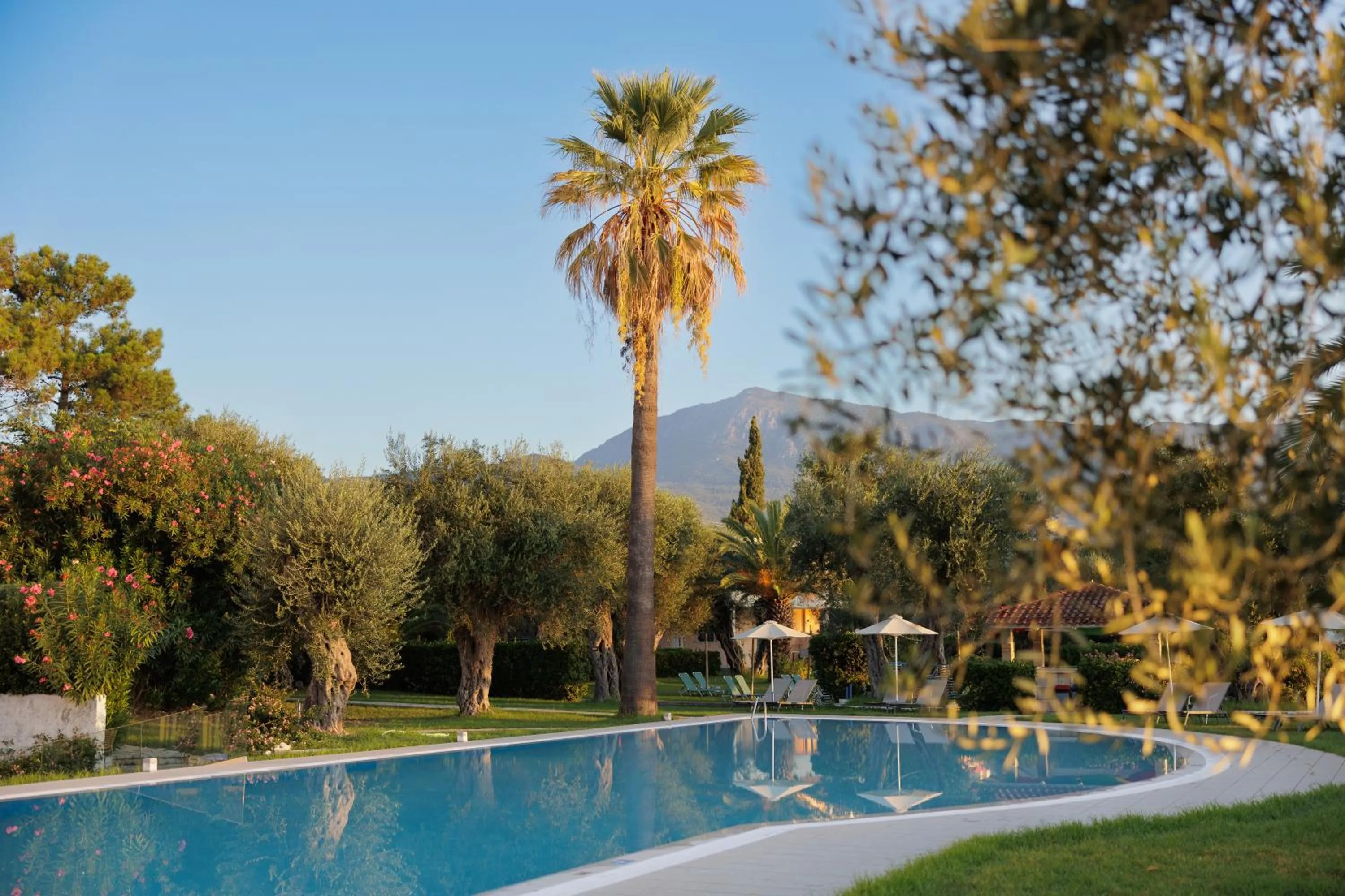 Swimming pool in Elea Beach Hotel