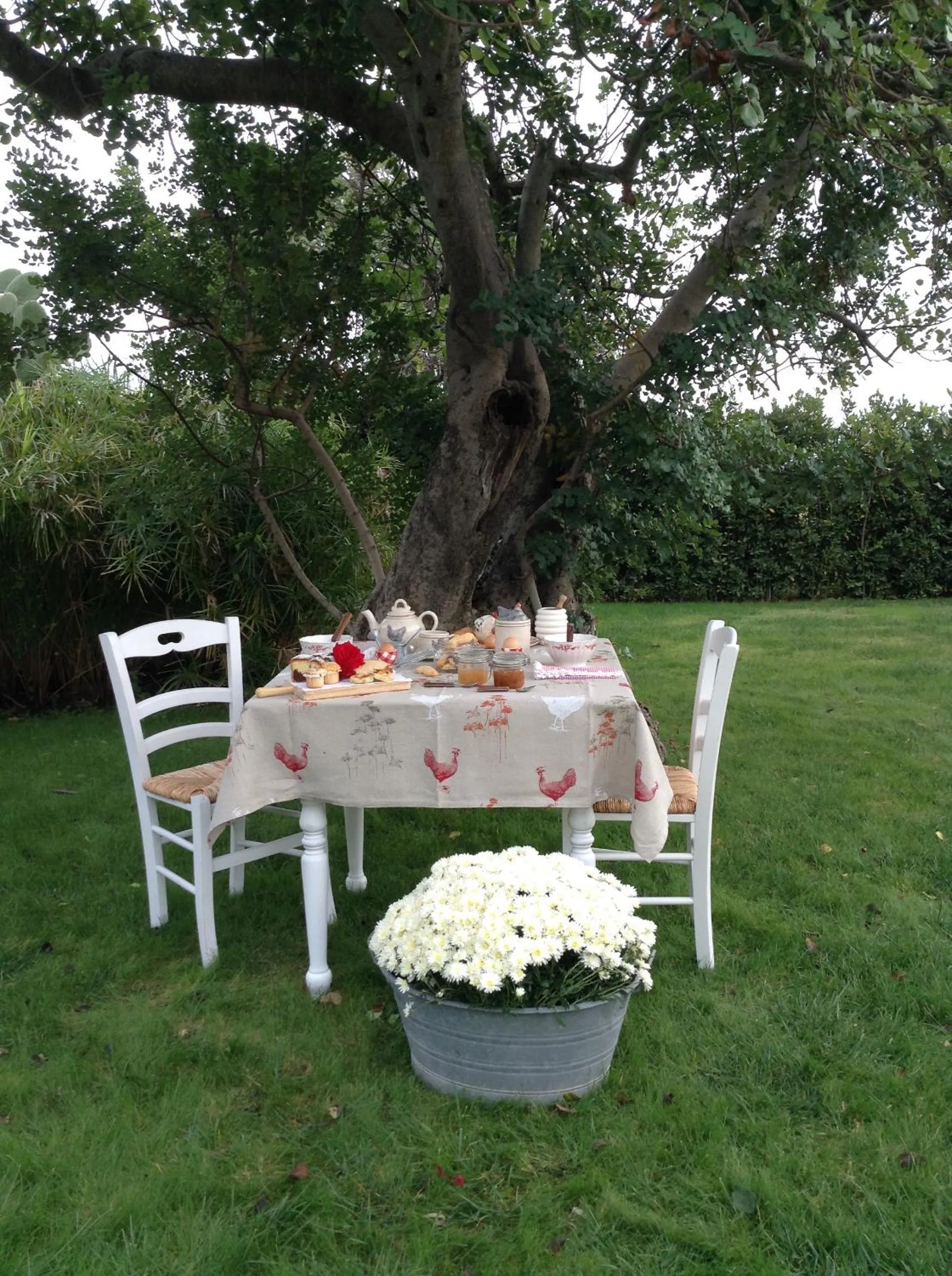 Garden in Masseria Cianciò