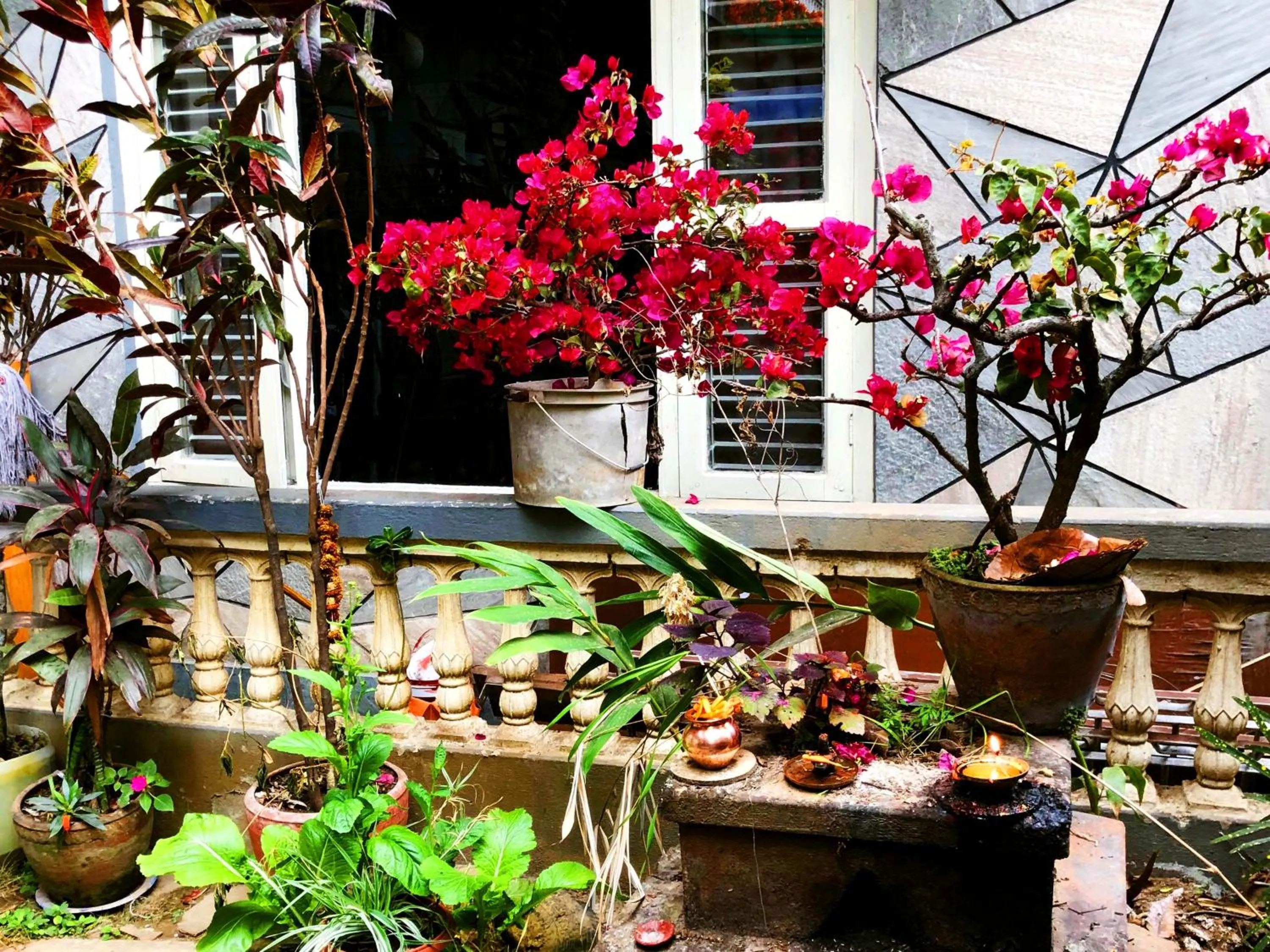 Garden in Hotel Grand Holiday