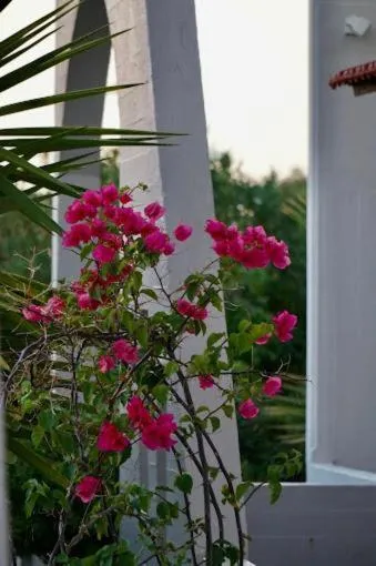 Garden in Cathrin Suites