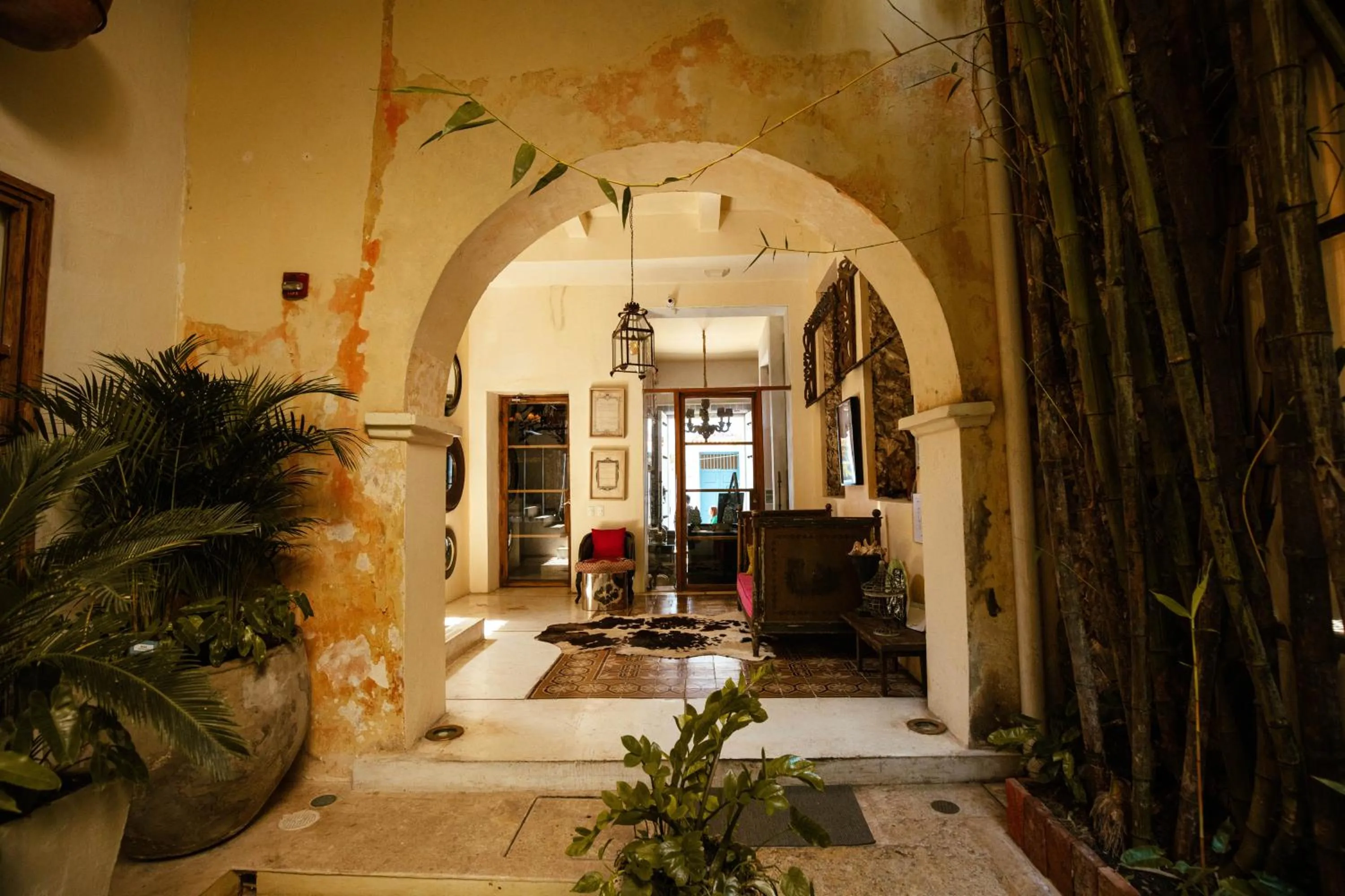 Hotel Casa Lola Deluxe Gallery