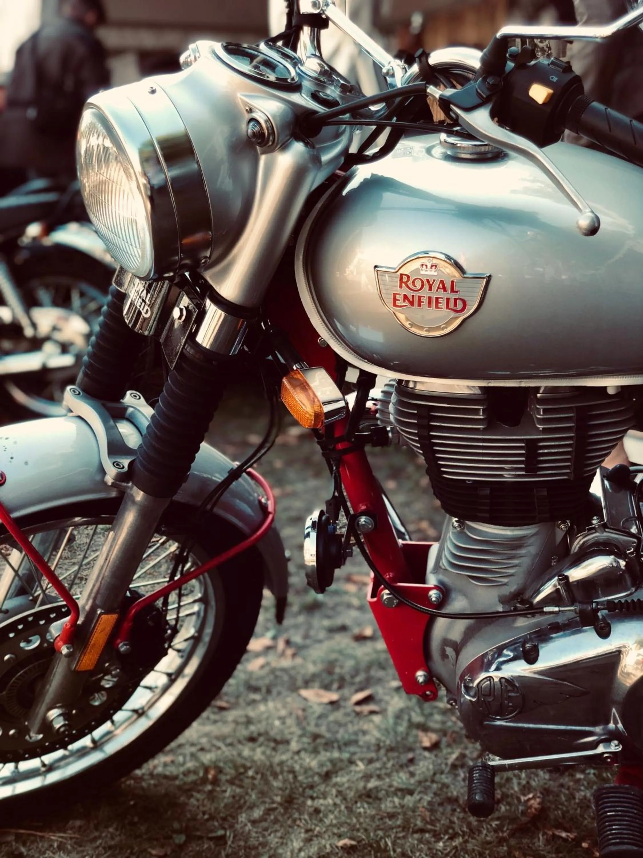 Activities in Hôtel Bel'Air