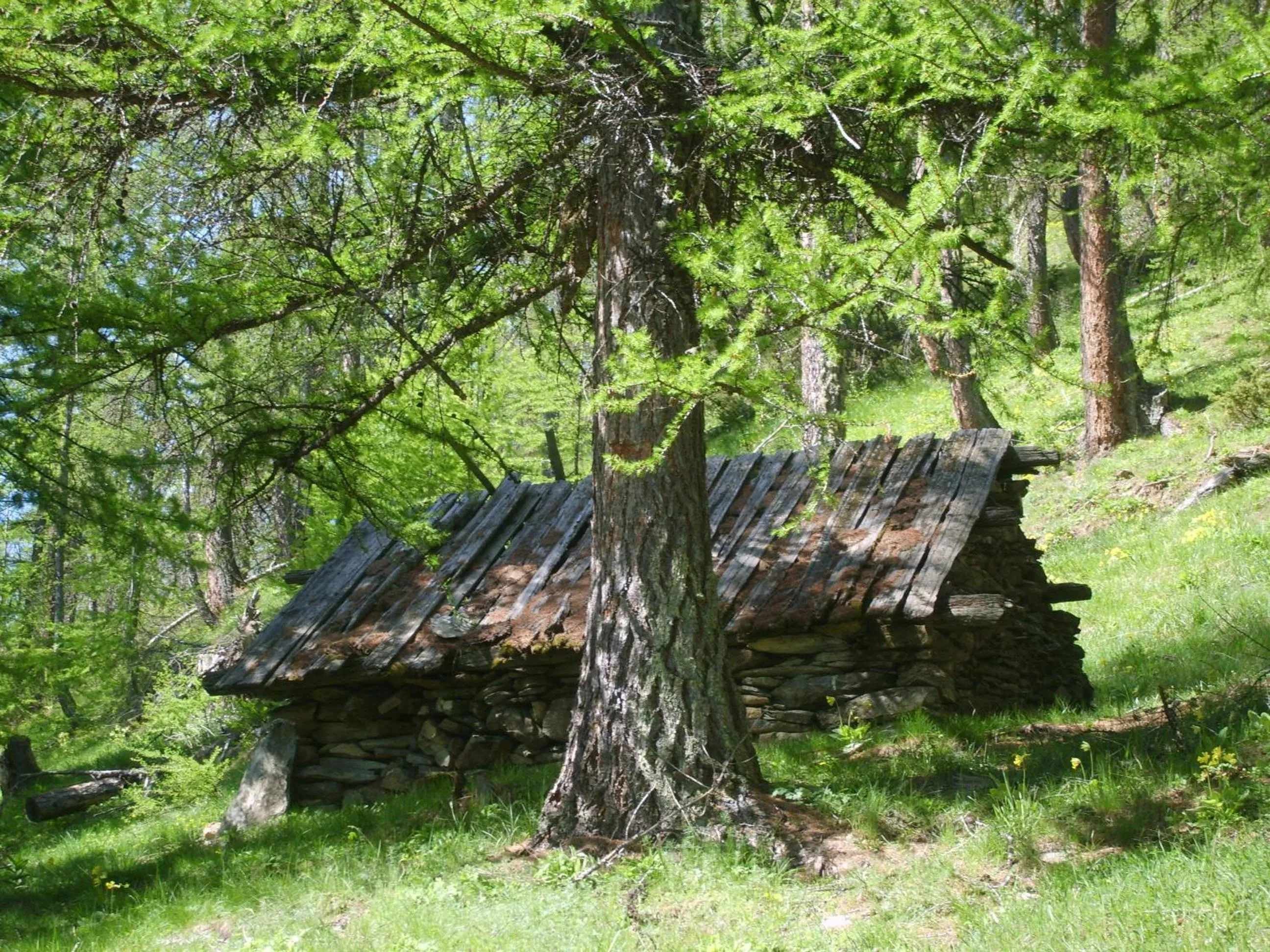 Natural landscape in Hôtel Bel'Air