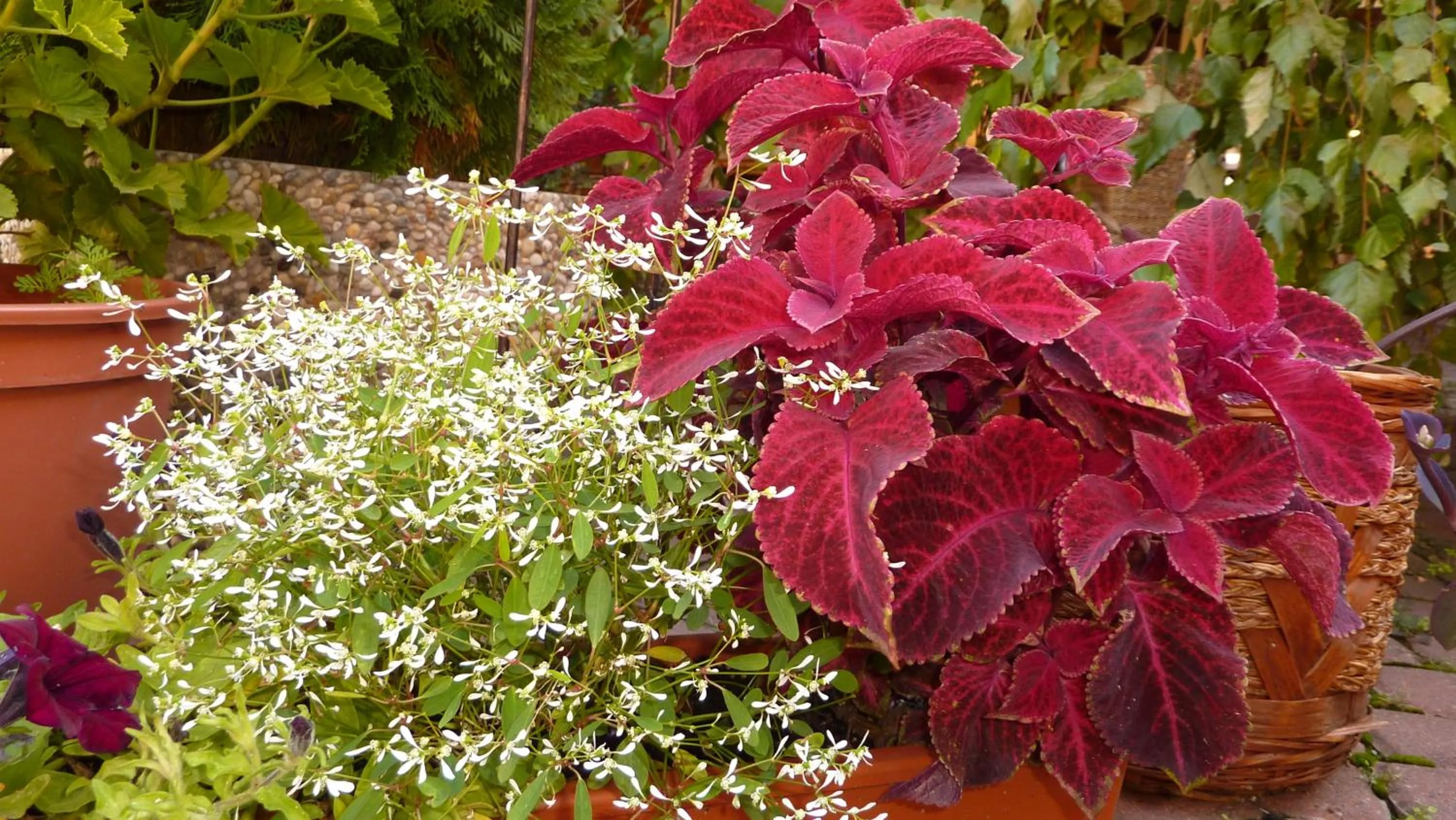 Other in Hotel Banderium