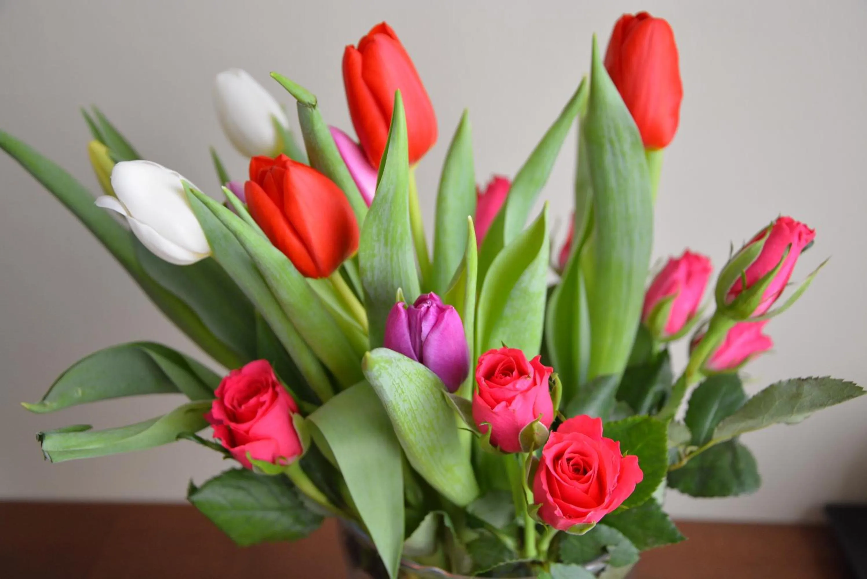 Decorative detail in Hotel Banderium