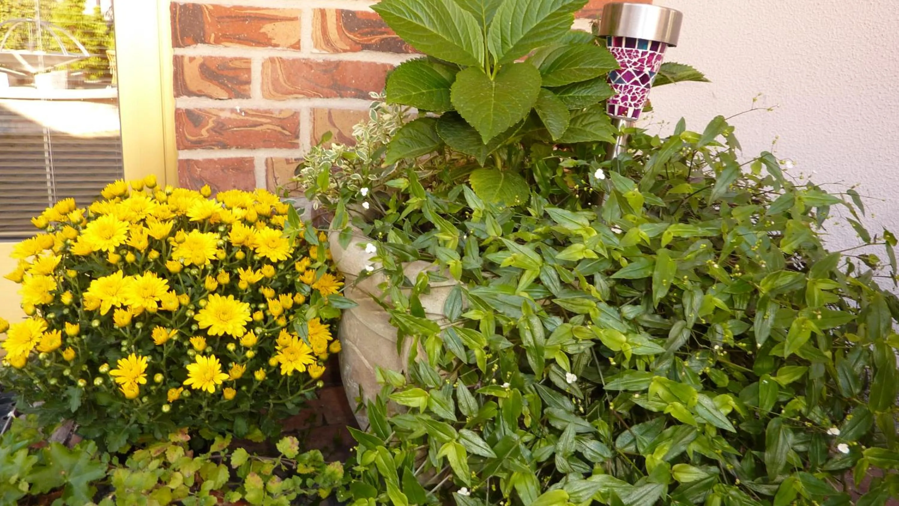 Other in Hotel Banderium