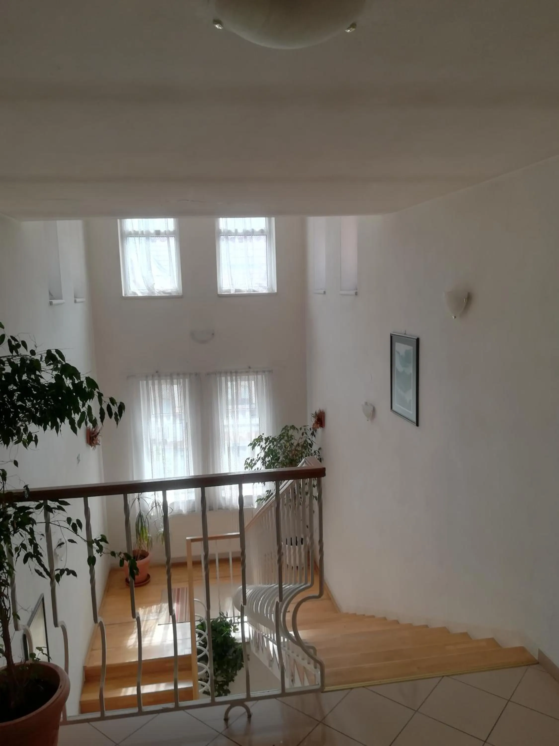 Property building in Hotel Margit