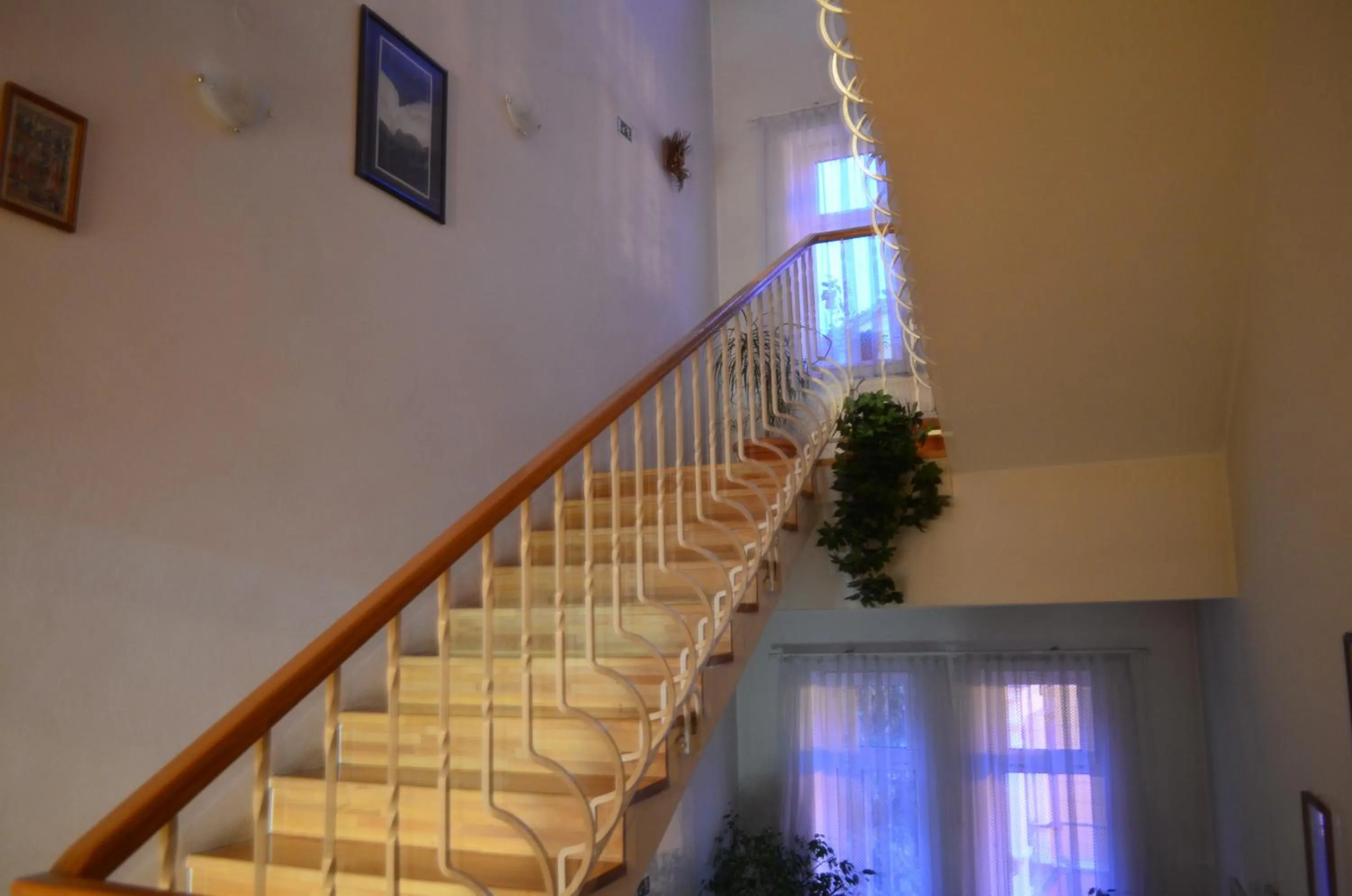 Property building in Hotel Margit