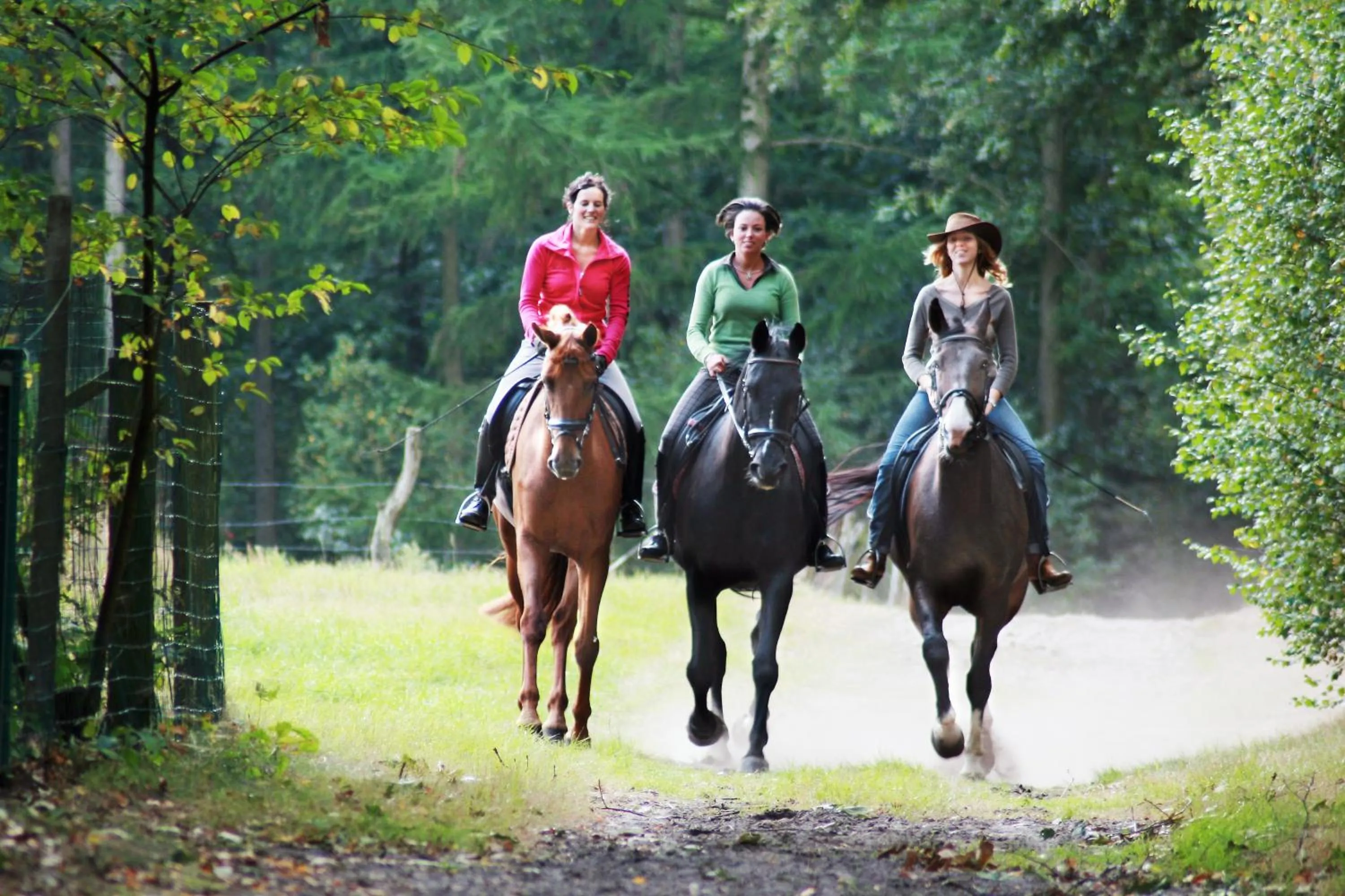 Horse-riding in Hotel De Boskar Peer