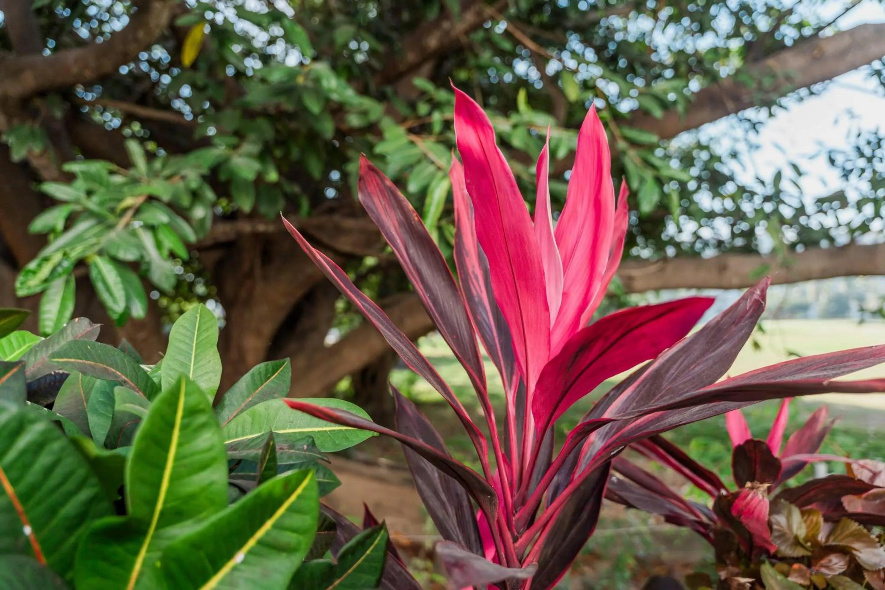 Other in Comfort Inn Puerto Vallarta Golfside & Marina