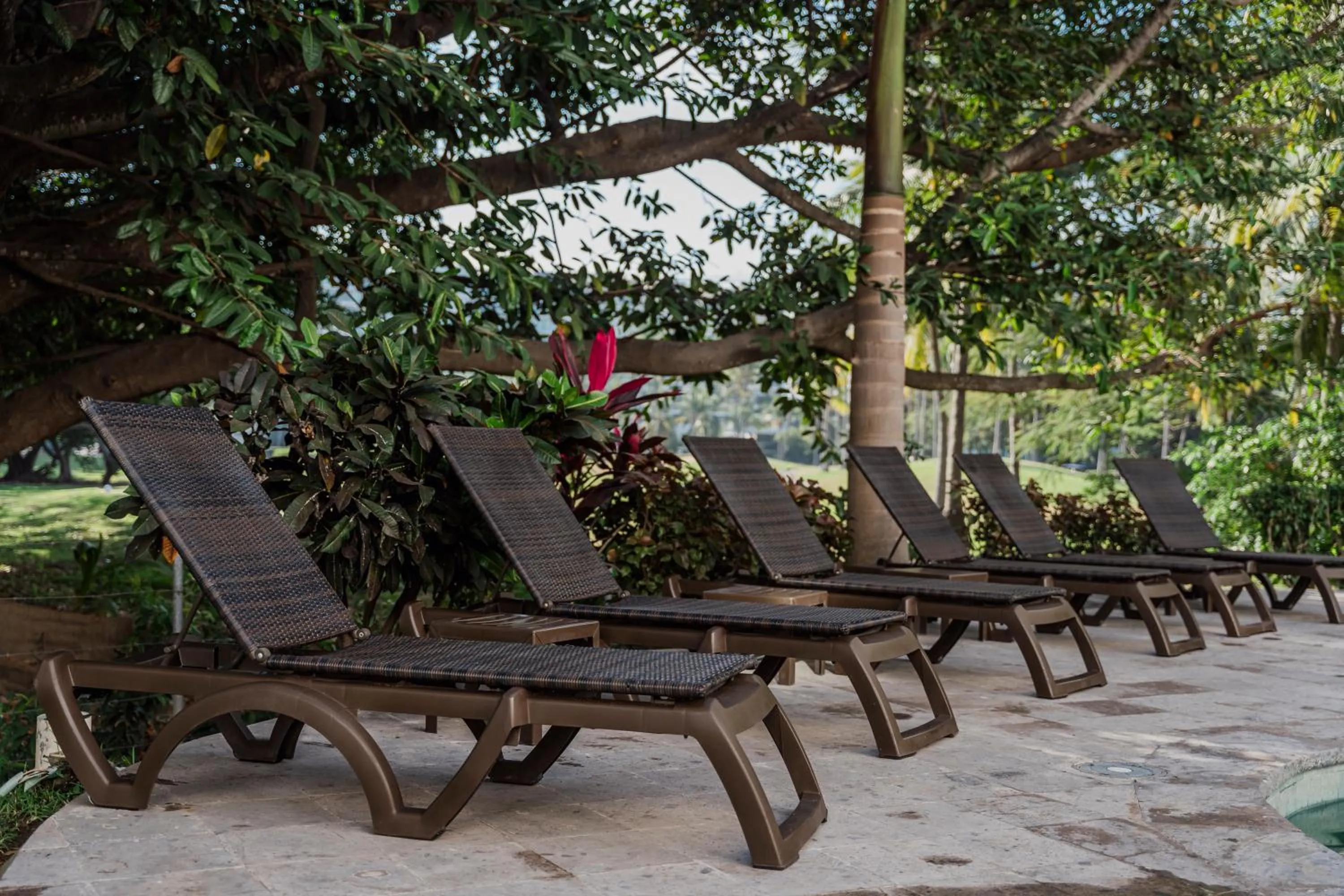 Seating area in Comfort Inn Puerto Vallarta Golfside & Marina