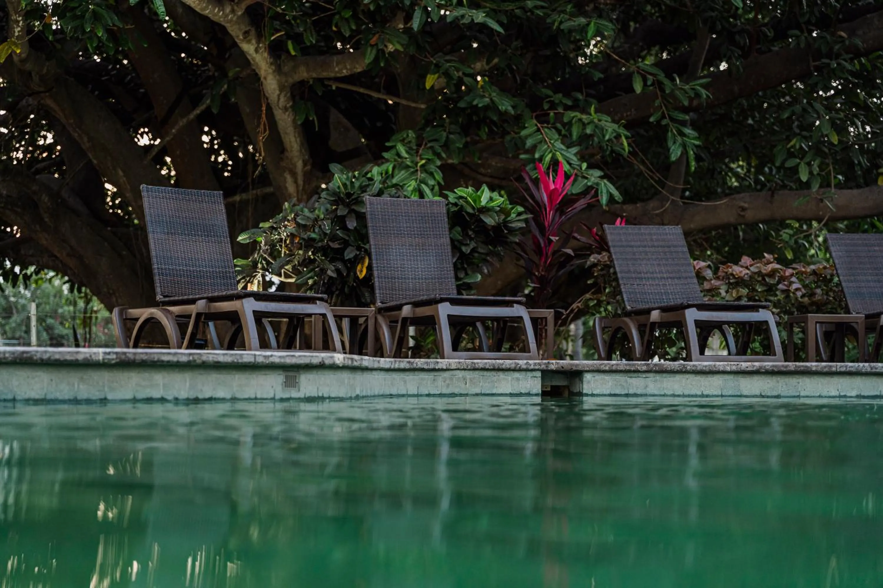 Pool view in Comfort Inn Puerto Vallarta Golfside & Marina
