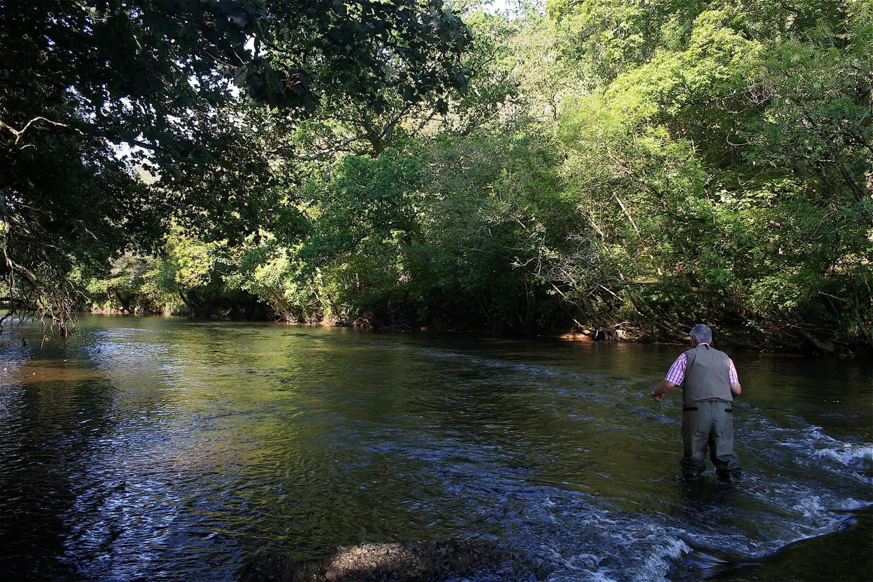 Natural landscape in Half Moon Inn