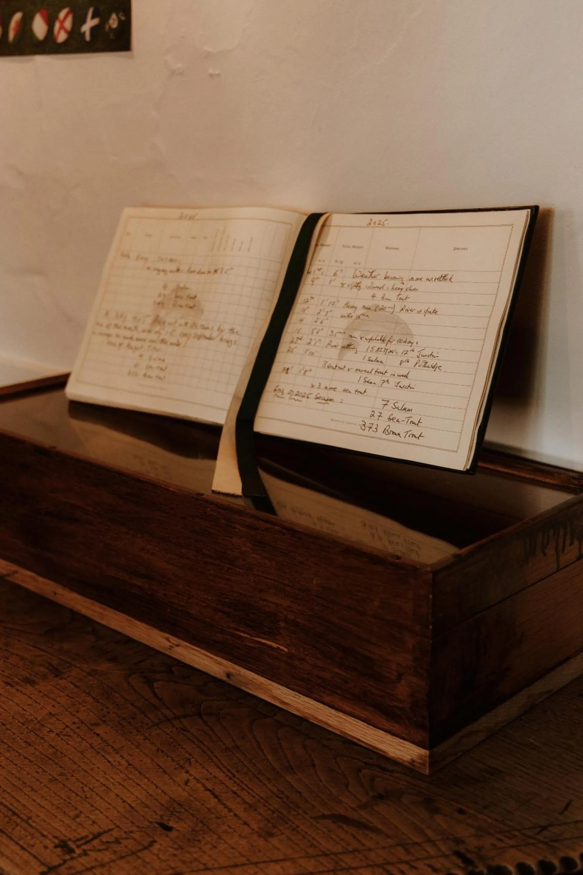 Lounge or bar in The Half Moon Inn