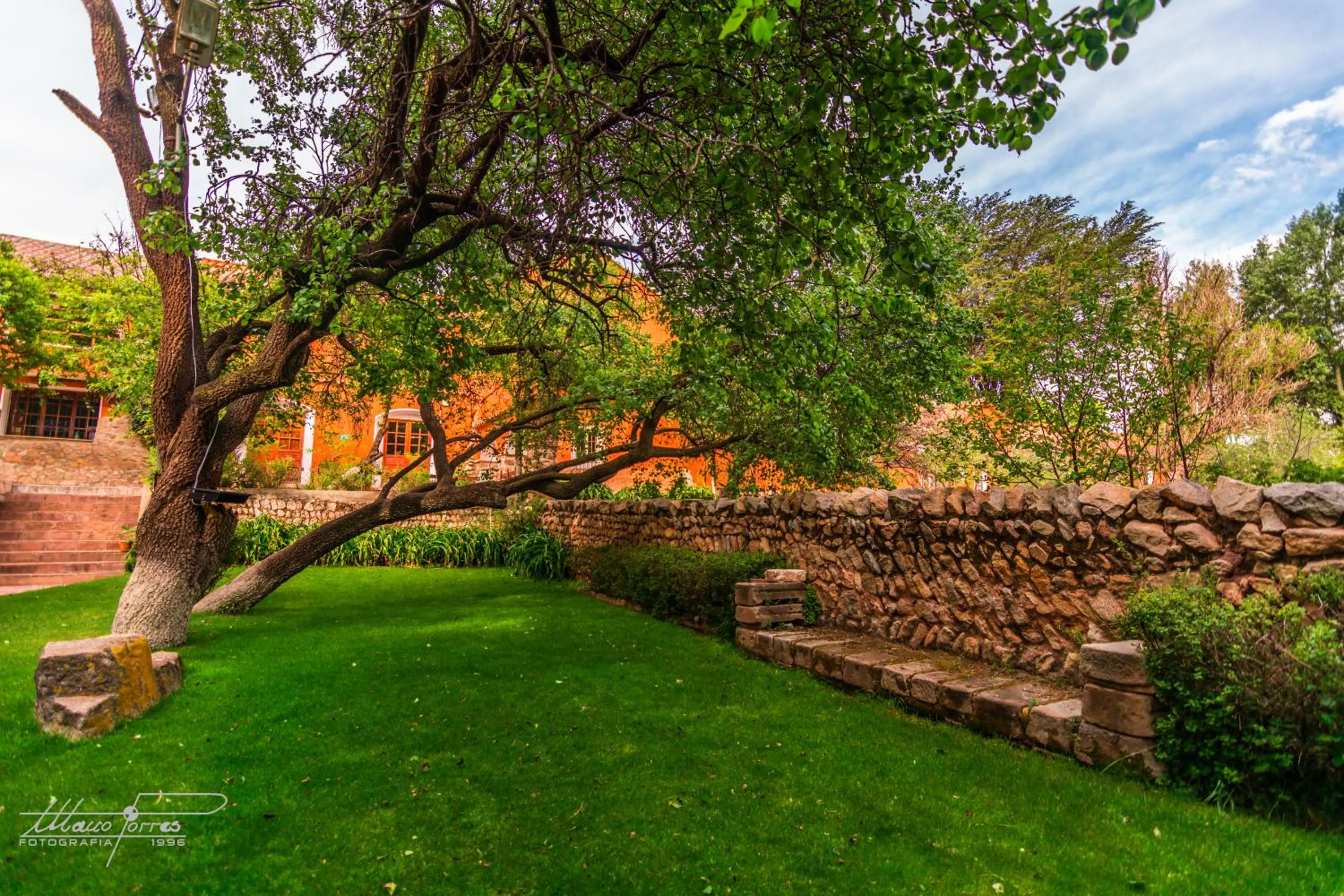 Garden in Hotel Museo Cayara