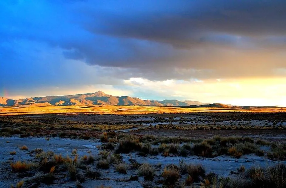 Natural landscape in Hotel Museo Cayara