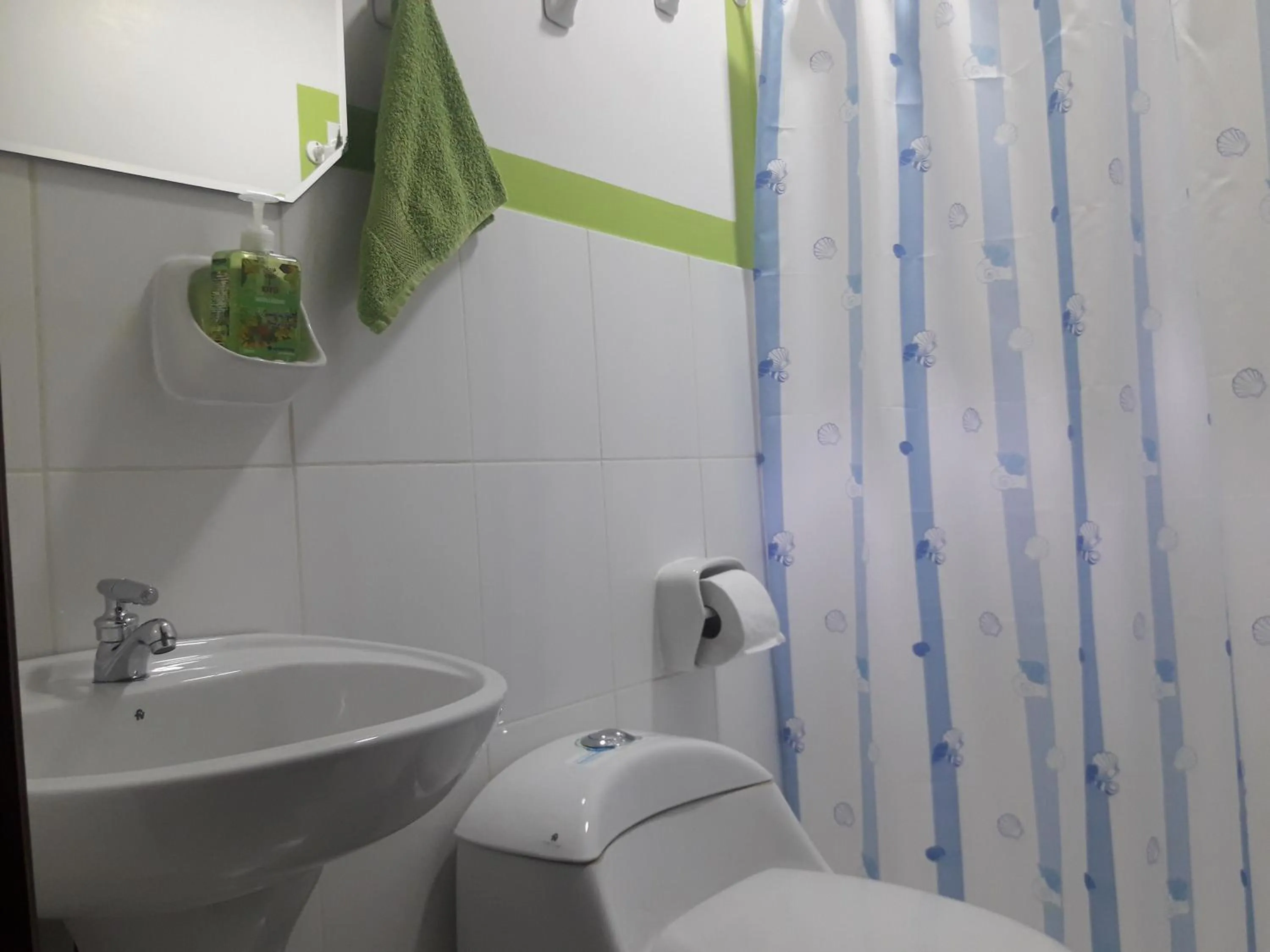 Bathroom in Green House Araque Inn