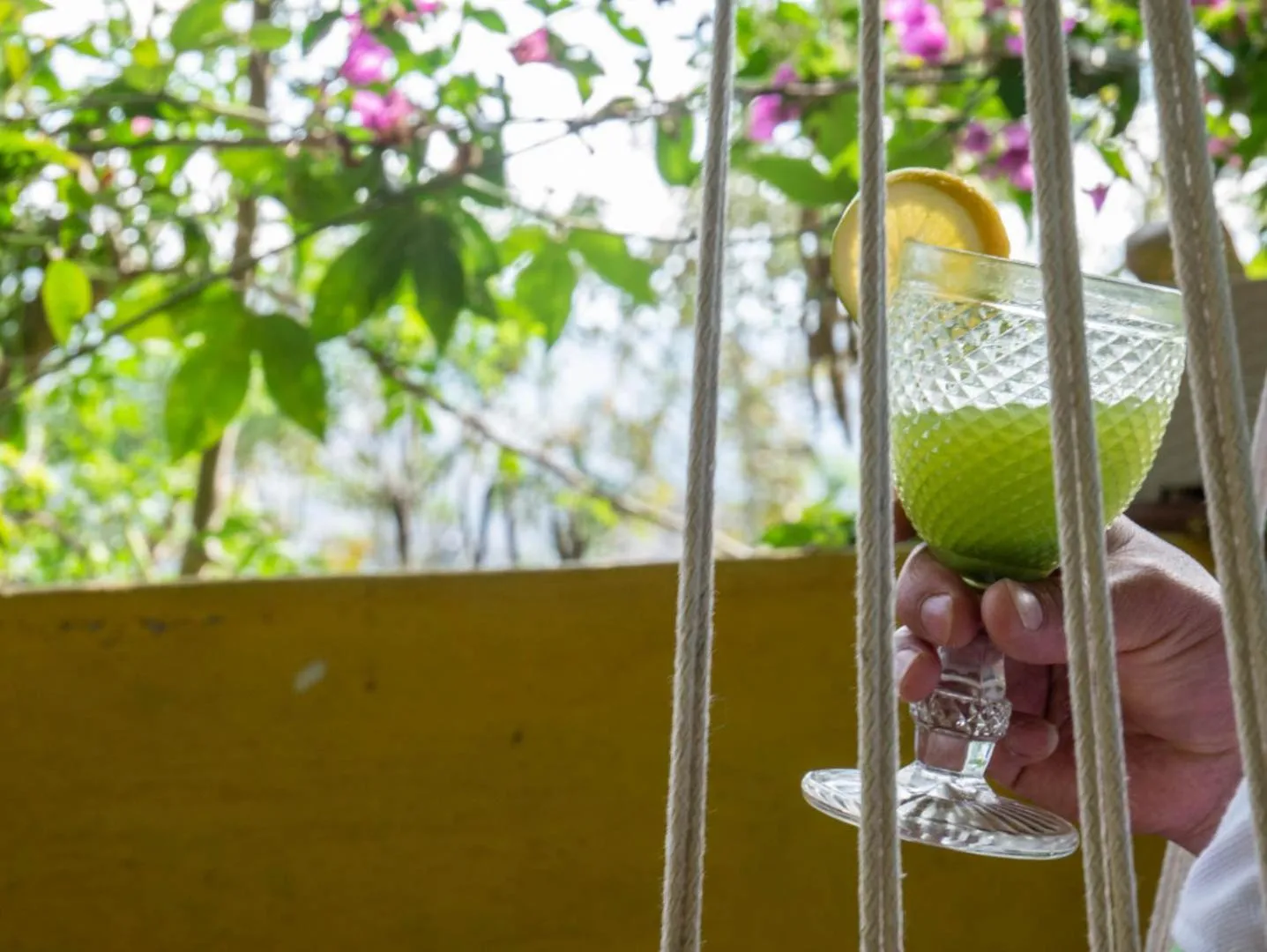 Patio in Green House Araque Inn