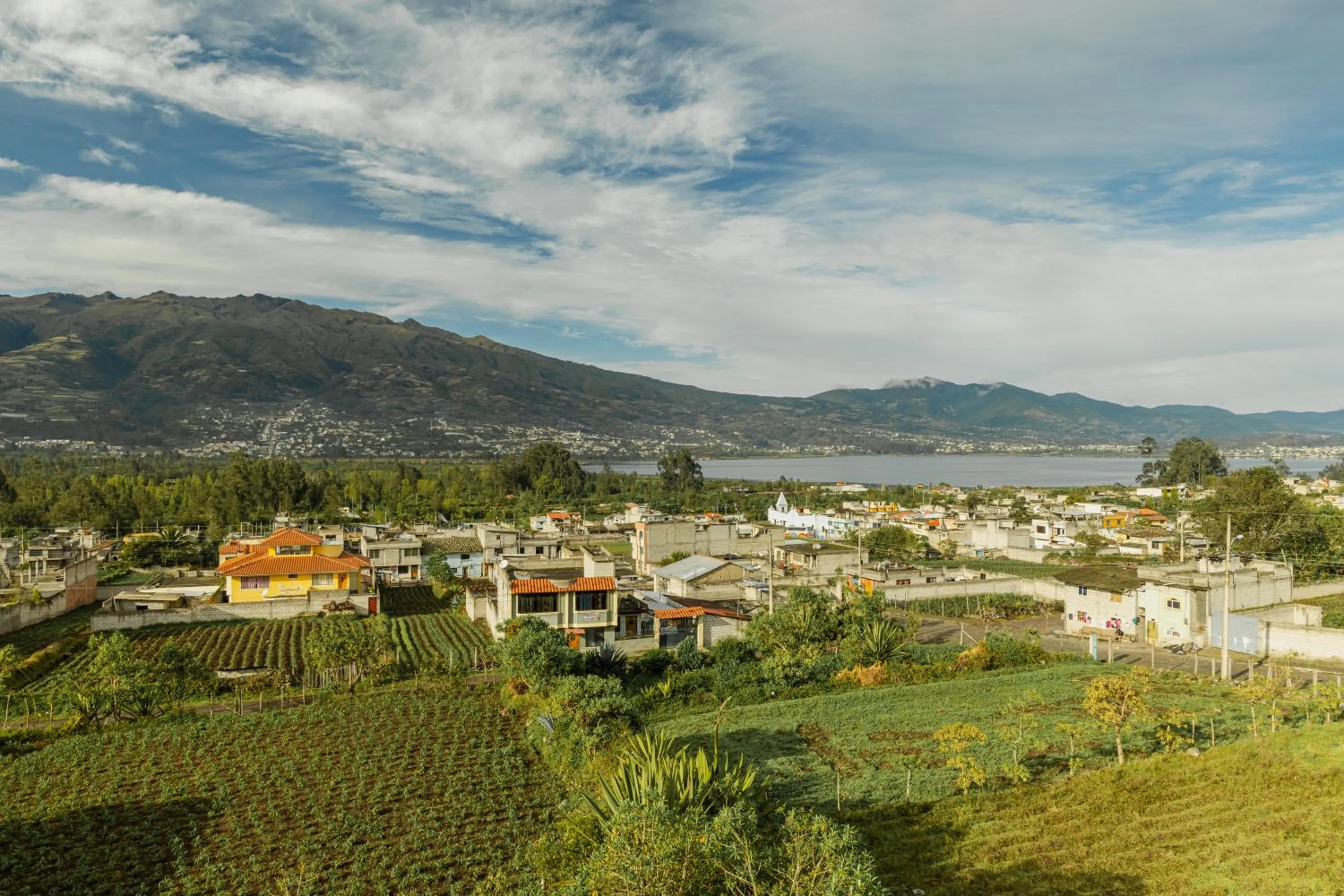 Balcony/Terrace in Green House Araque Inn
