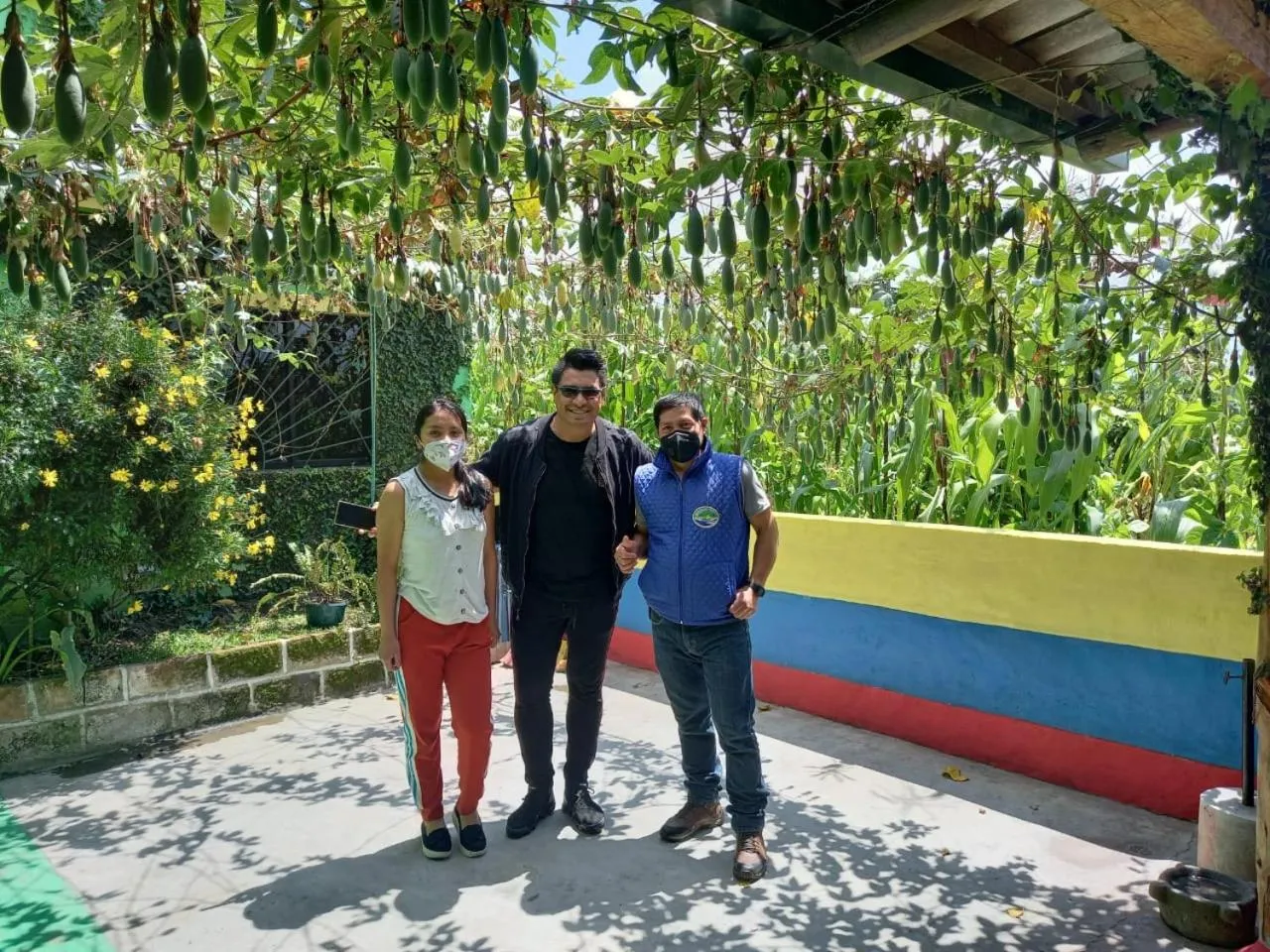 Patio in Green House Araque Inn