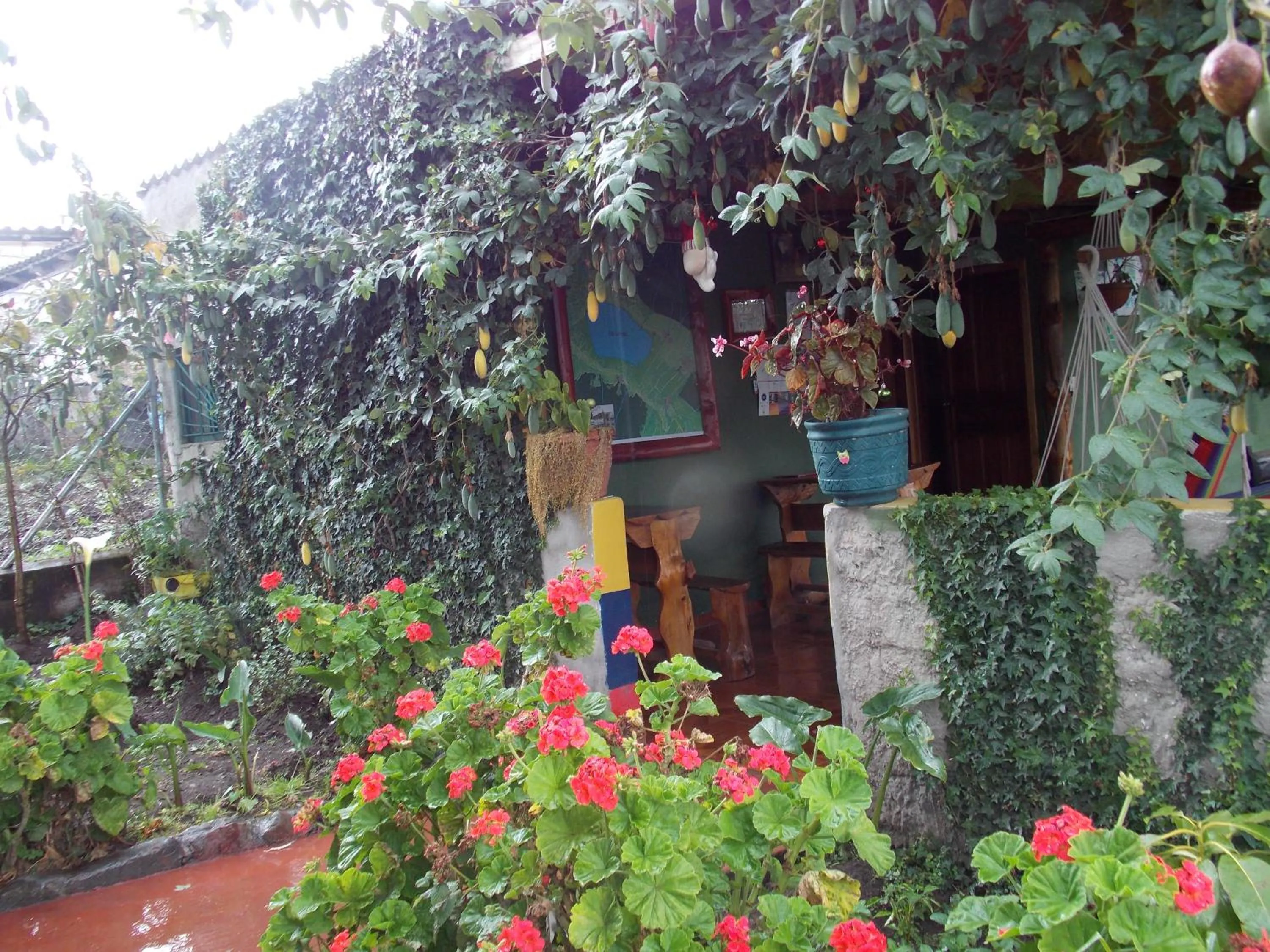 Garden in Green House Araque Inn