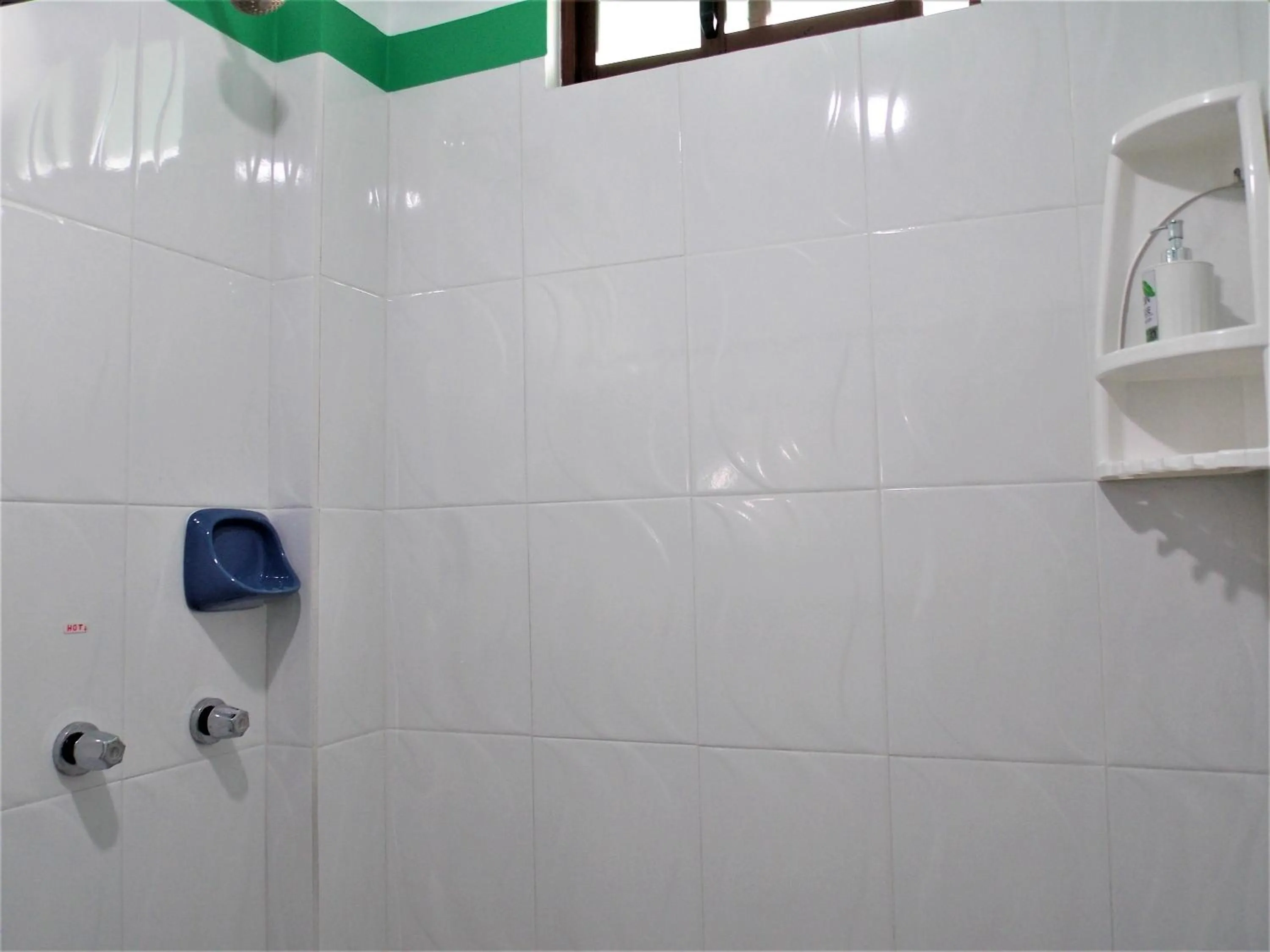 Shower in Green House Araque Inn