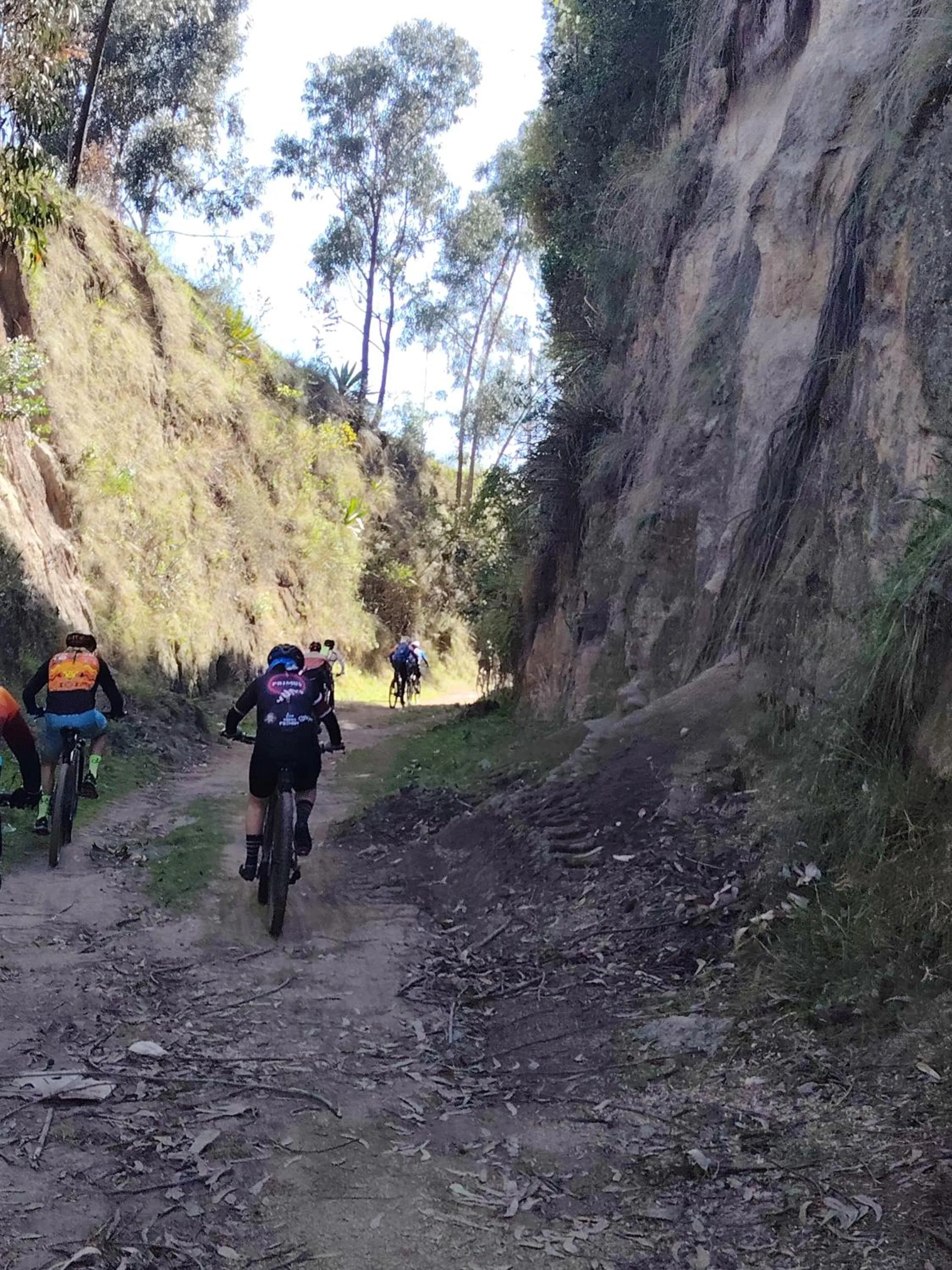 Cycling in Green House Araque Inn