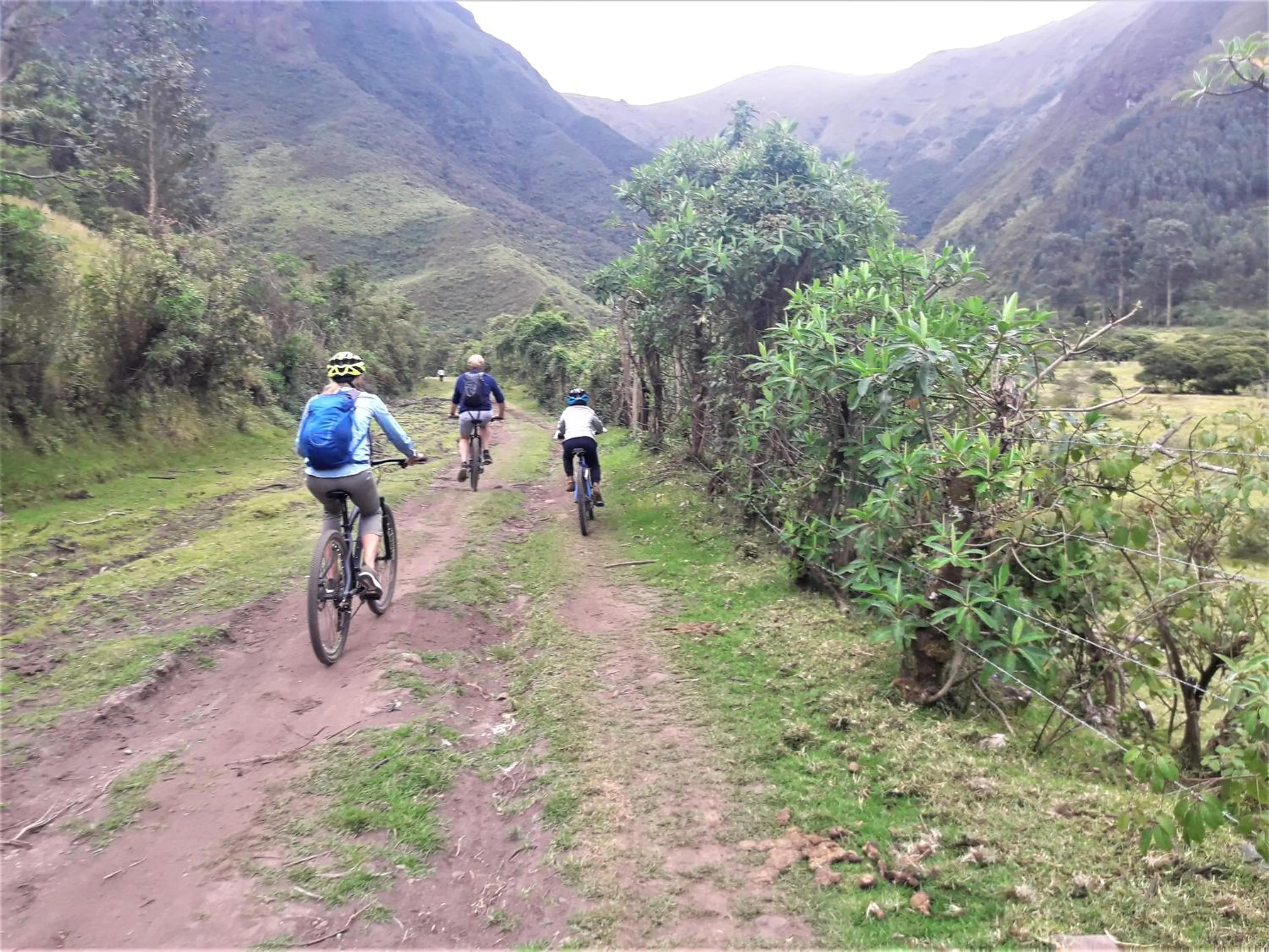 Cycling in Green House Araque Inn