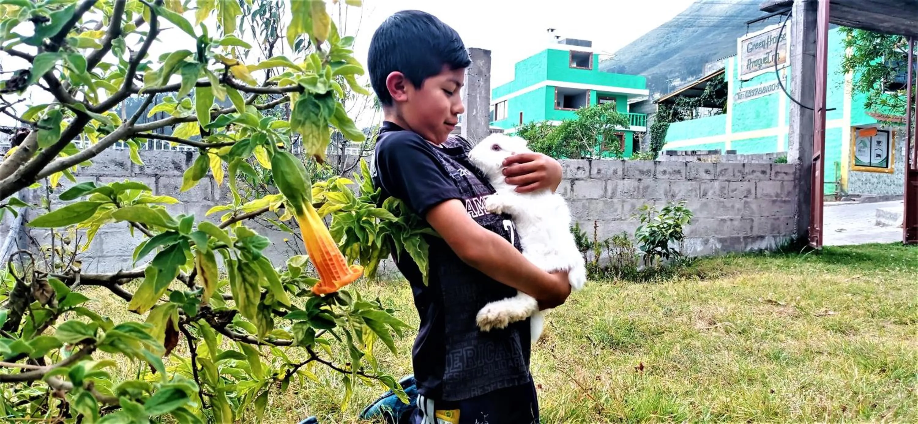 Patio in Green House Araque Inn