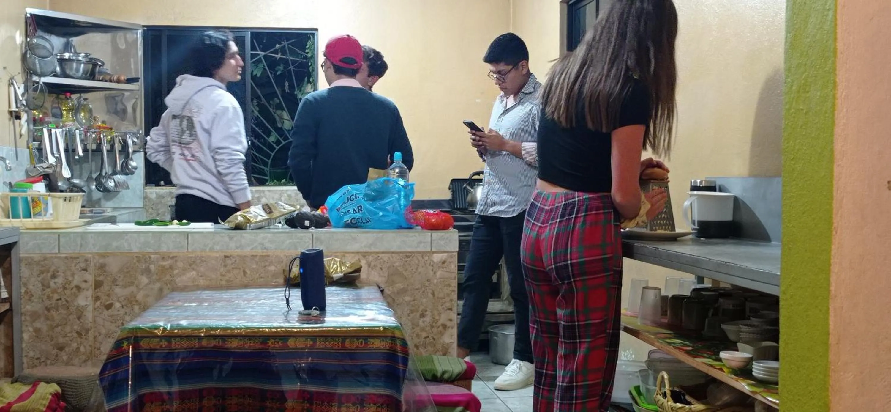 Kitchen or kitchenette in Green House Araque Inn