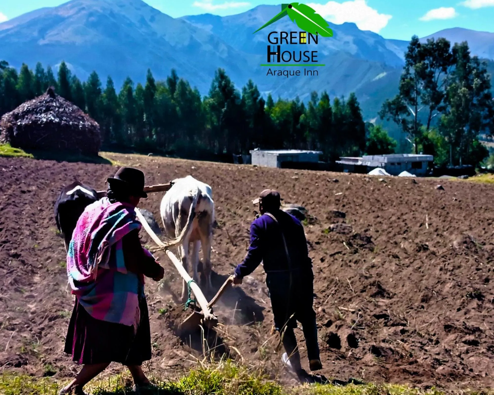 Summer in Green House Araque Inn