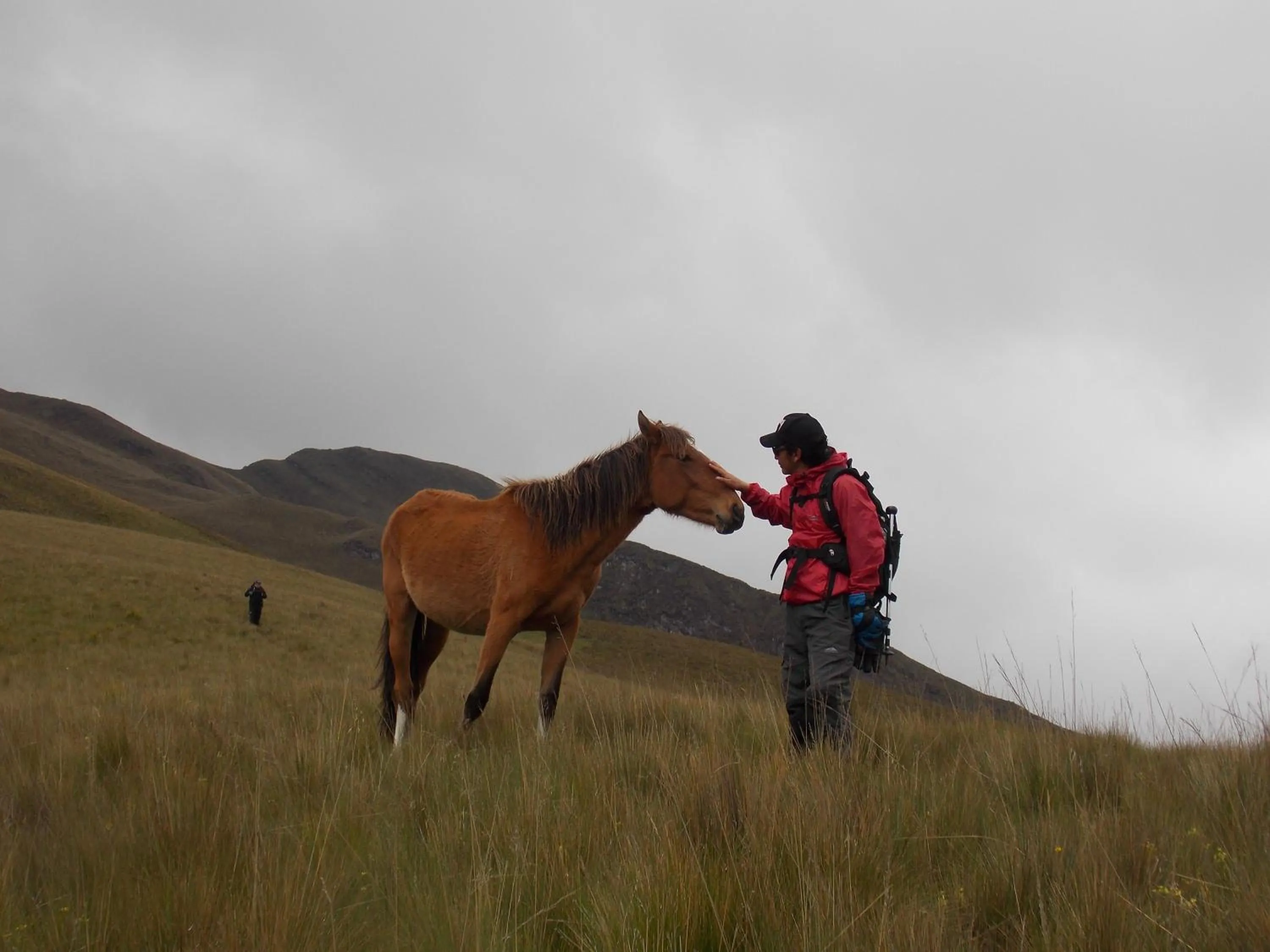 Hiking in Green House Araque Inn