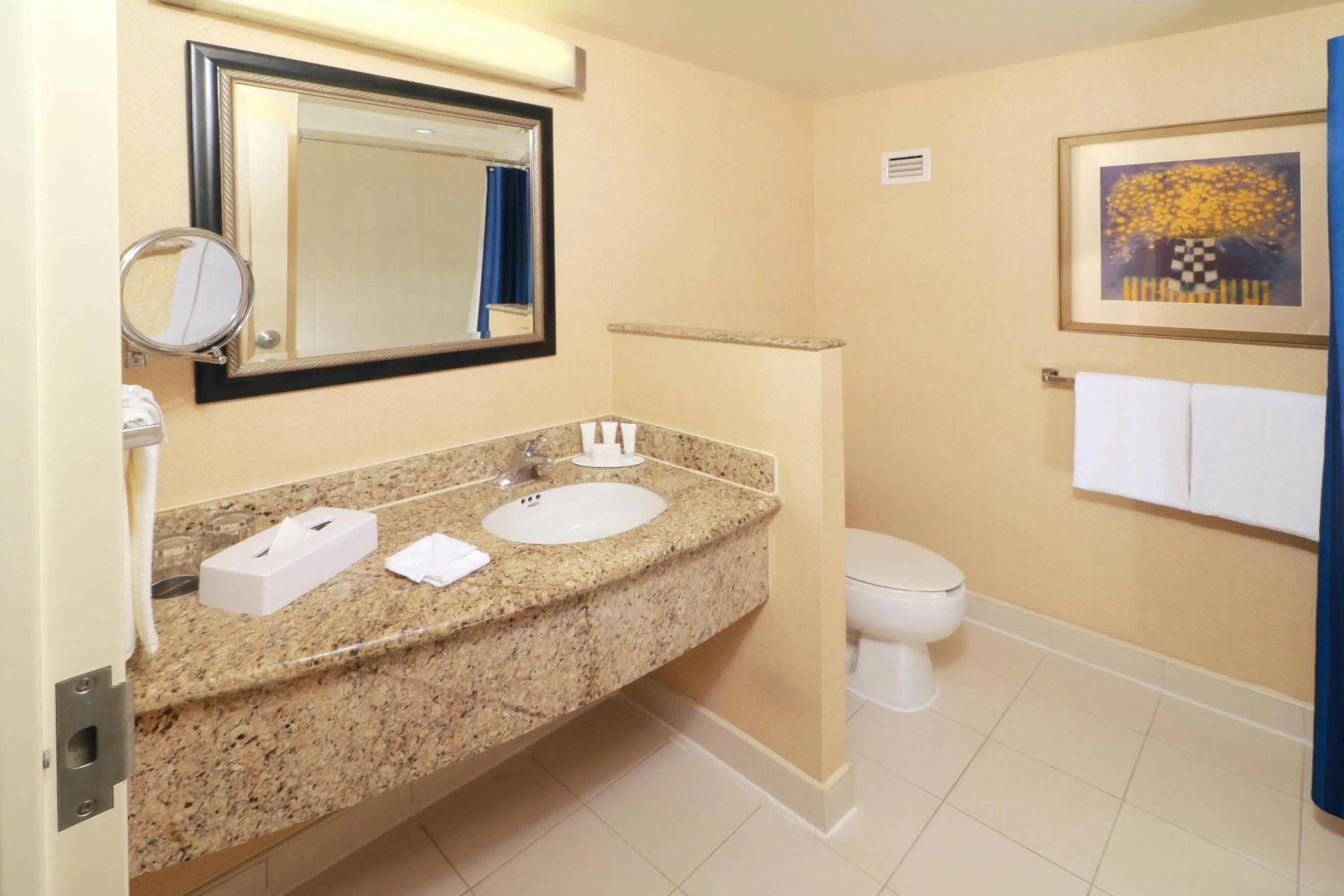 Bathroom in Courtyard Monterrey San Jeronimo