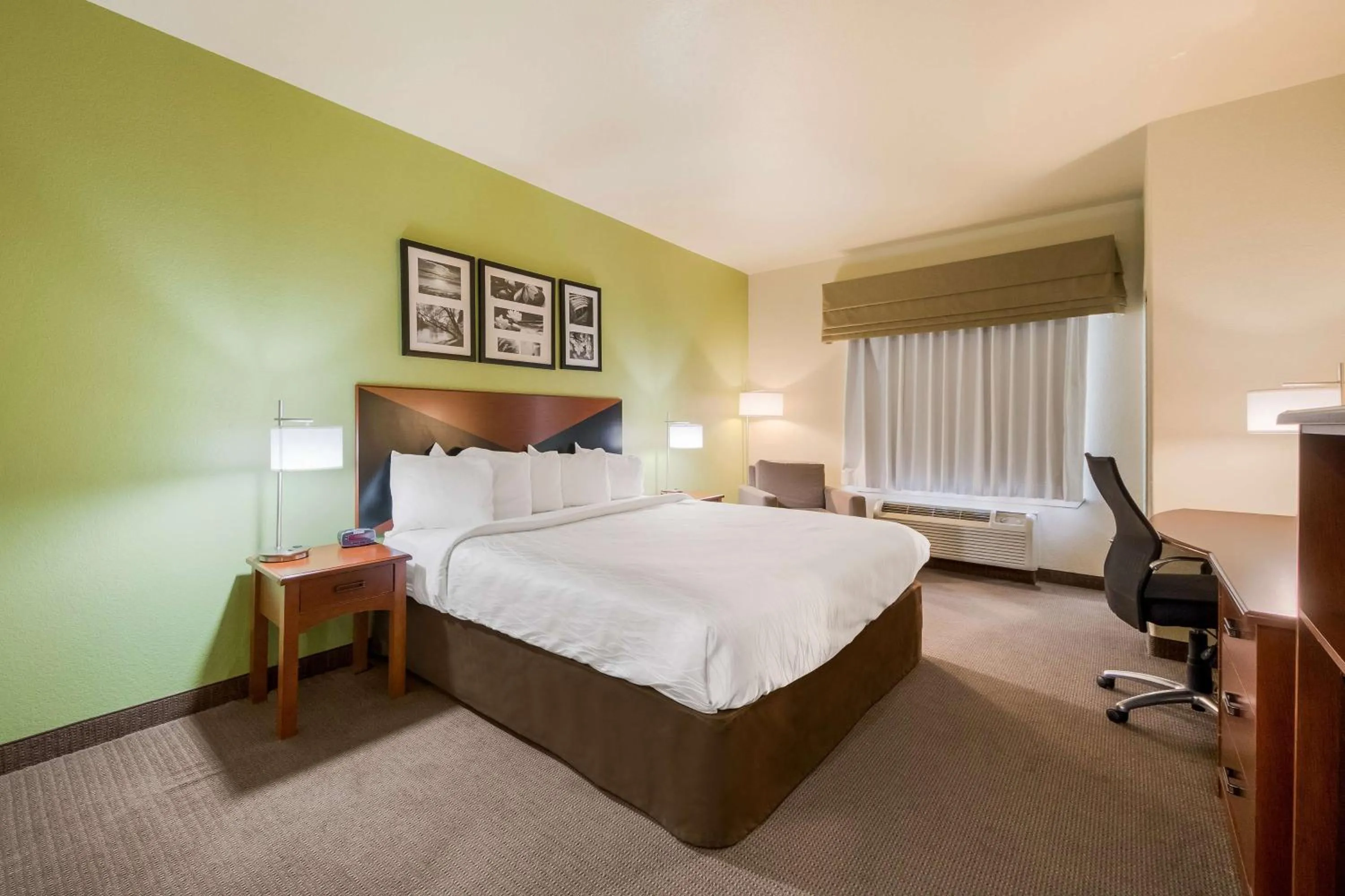 King Room in SureStay Plus Hotel by Best Western Near SeaWorld San Antonio