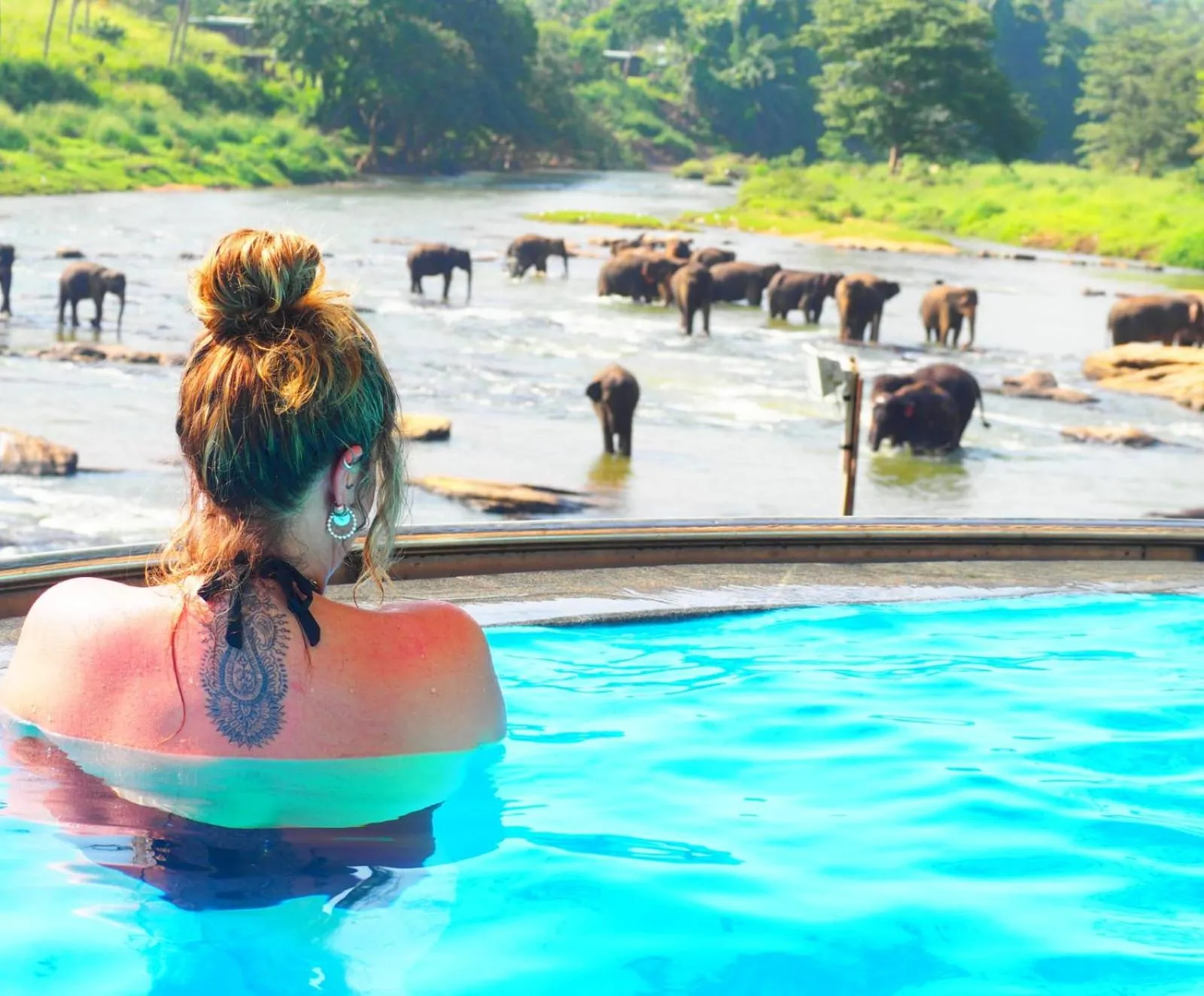 Property building in Hotel Elephant Bay