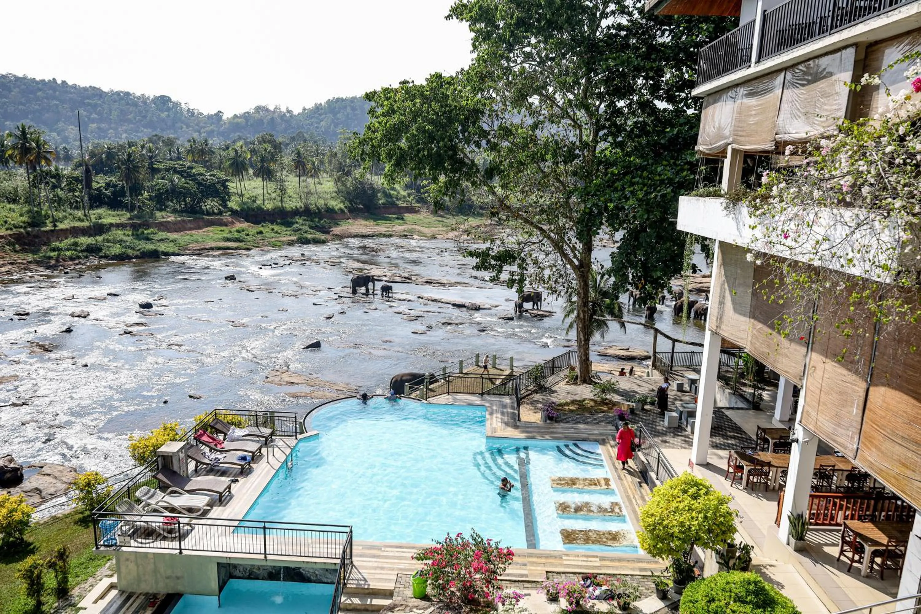 Swimming pool in Hotel Elephant Bay