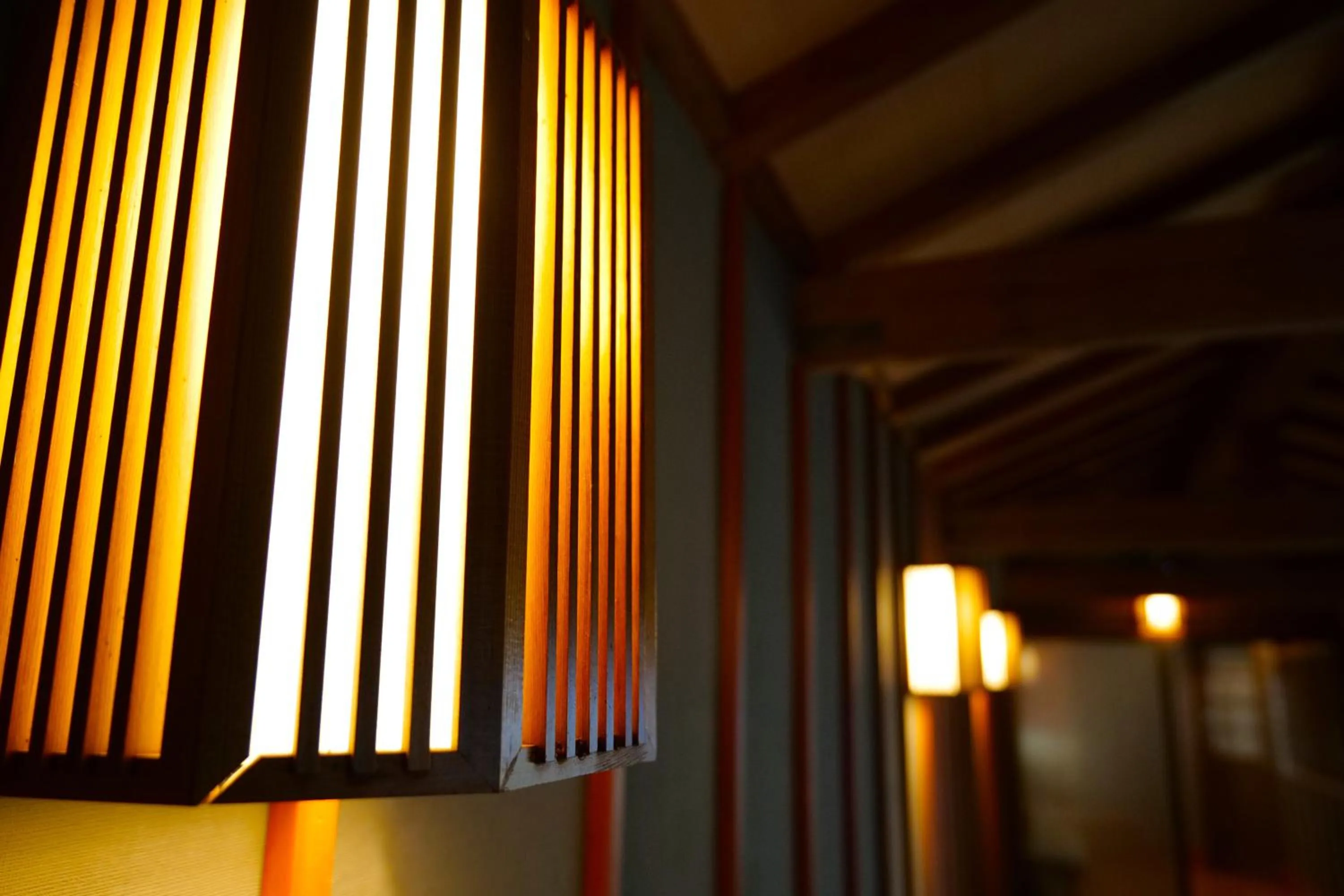 Public Bath in Nikko Hoshino Yado