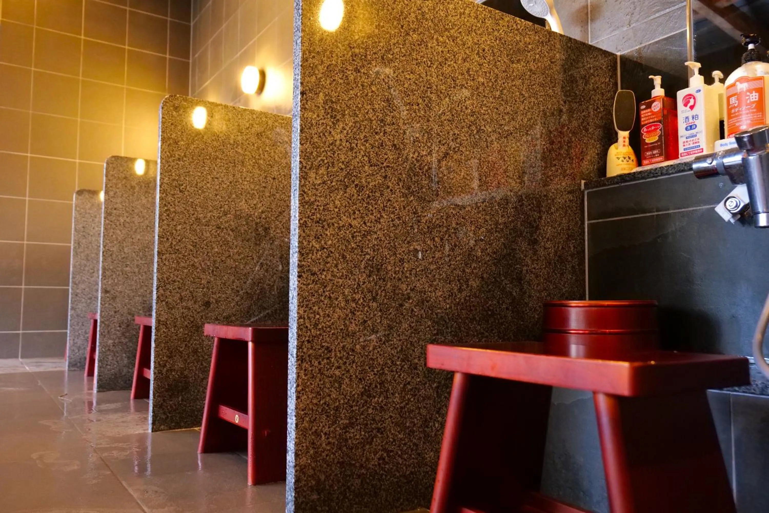 Public Bath in Nikko Hoshino Yado