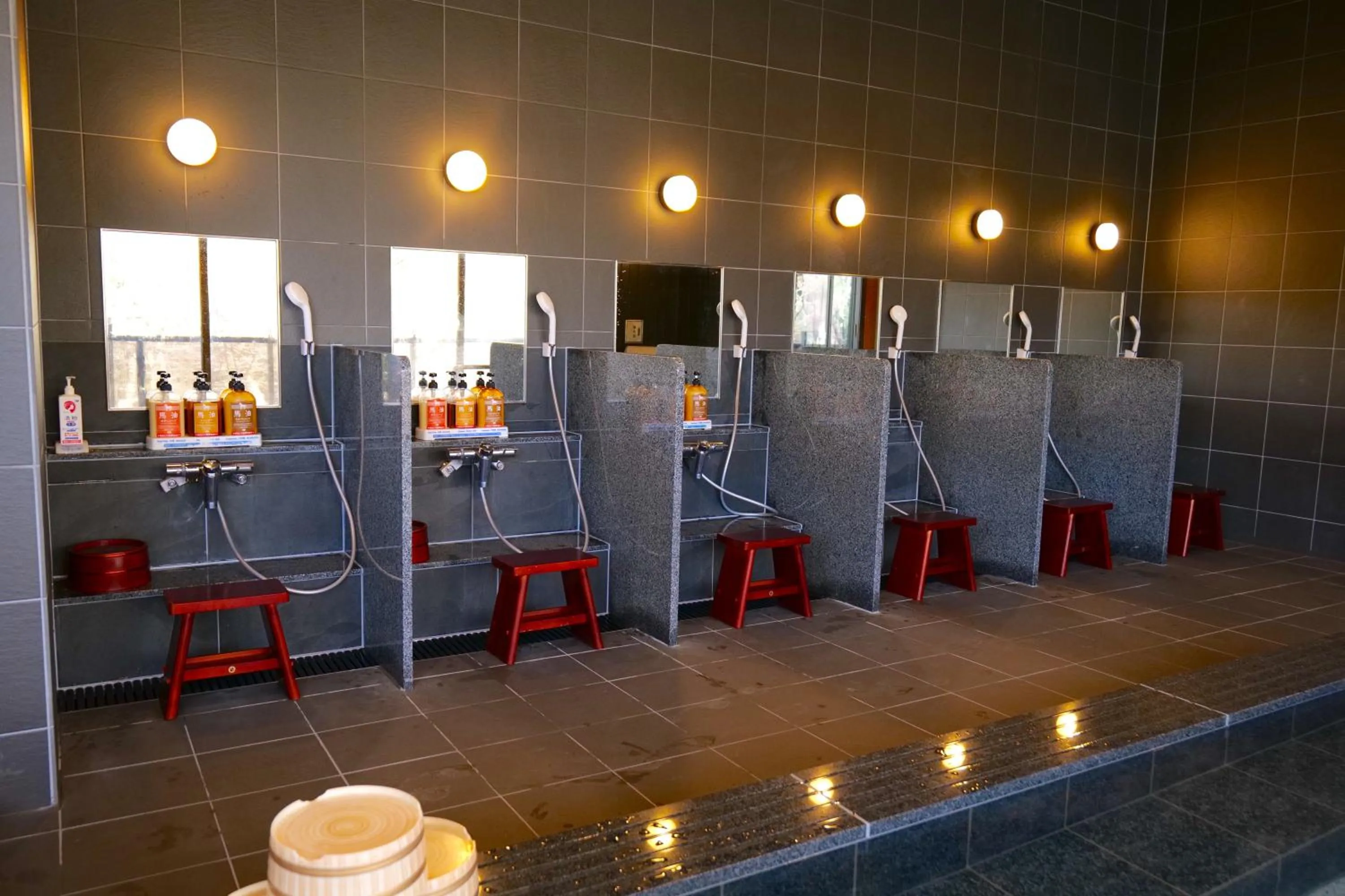 Public Bath in Nikko Hoshino Yado