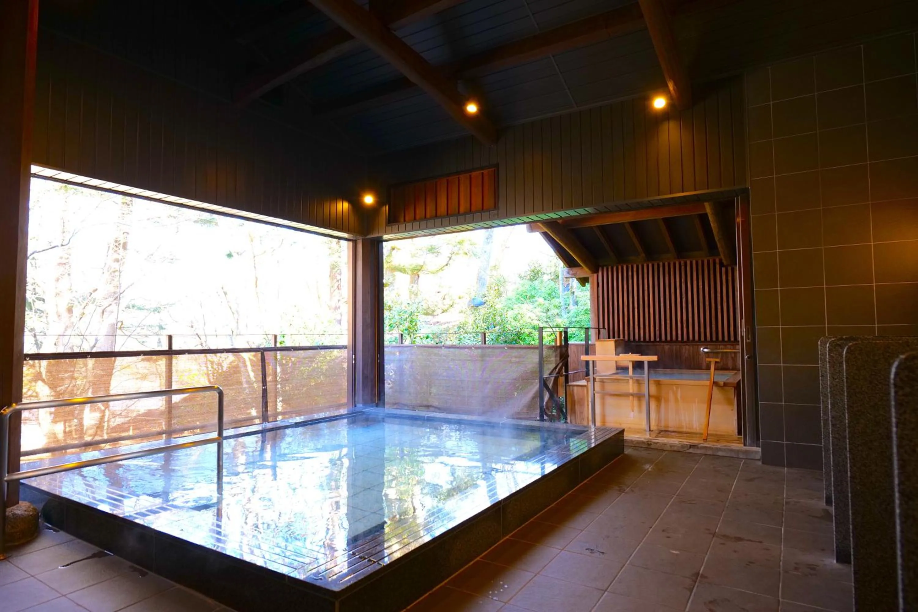 Hot Spring Bath in Nikko Hoshino Yado