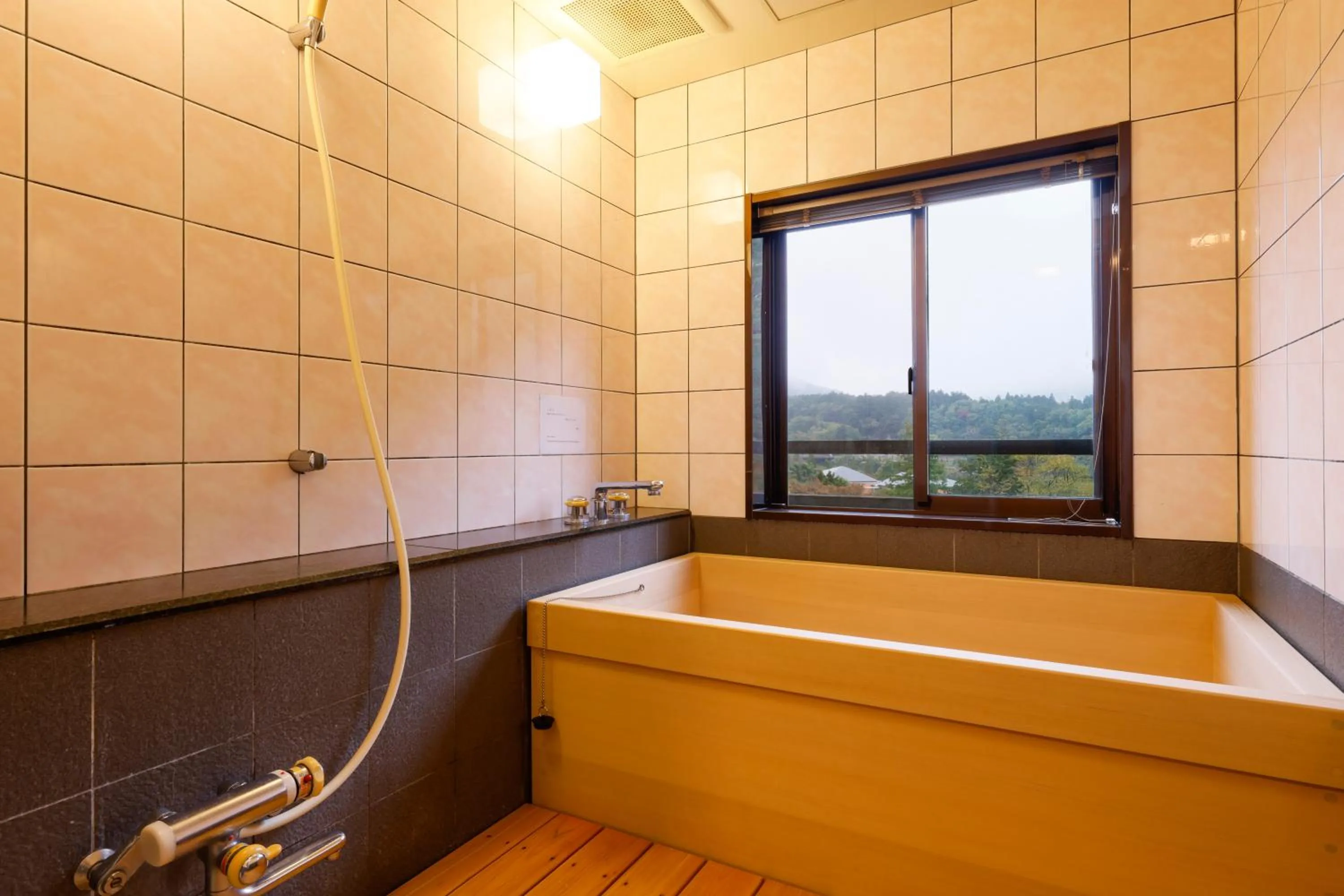 Bathroom in Nikko Hoshino Yado