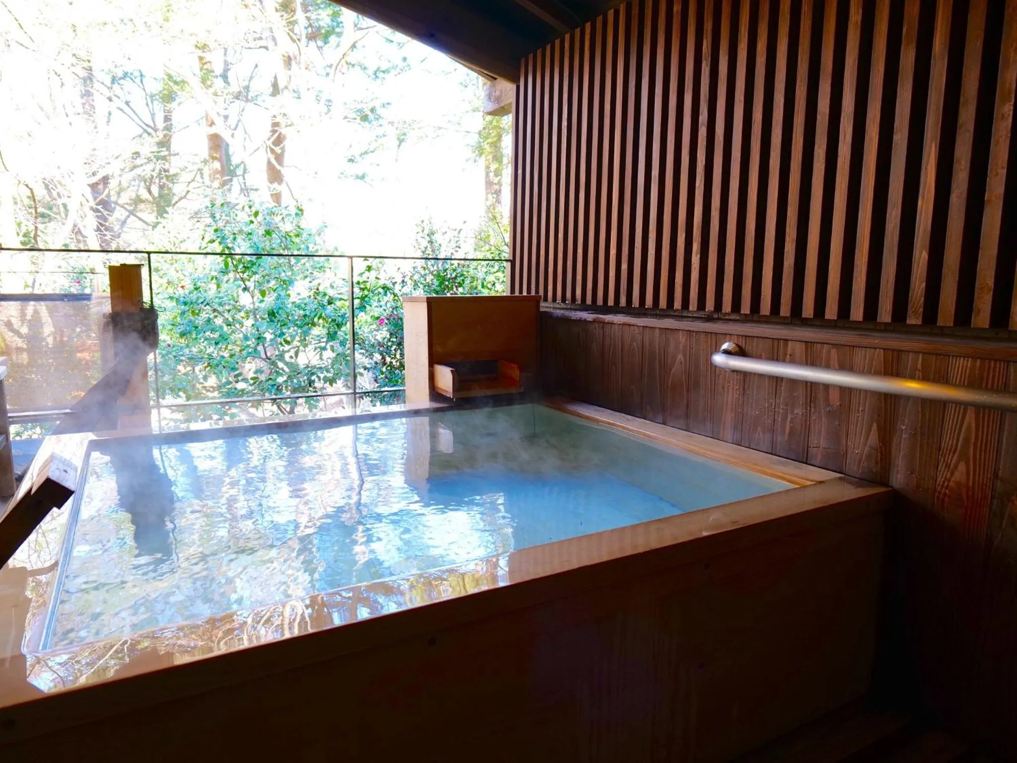 Public Bath in Nikko Hoshino Yado