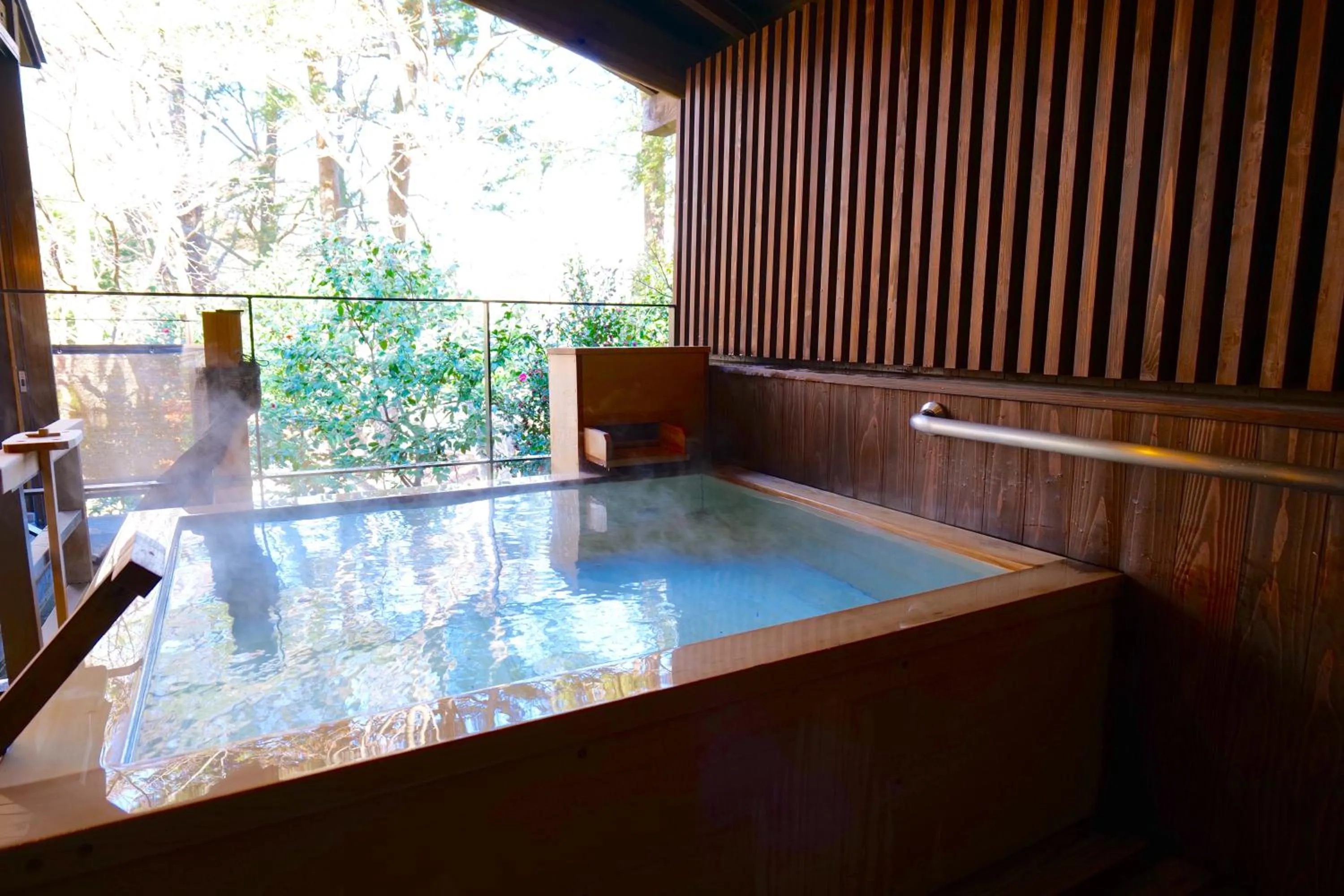 Natural landscape in Nikko Hoshino Yado