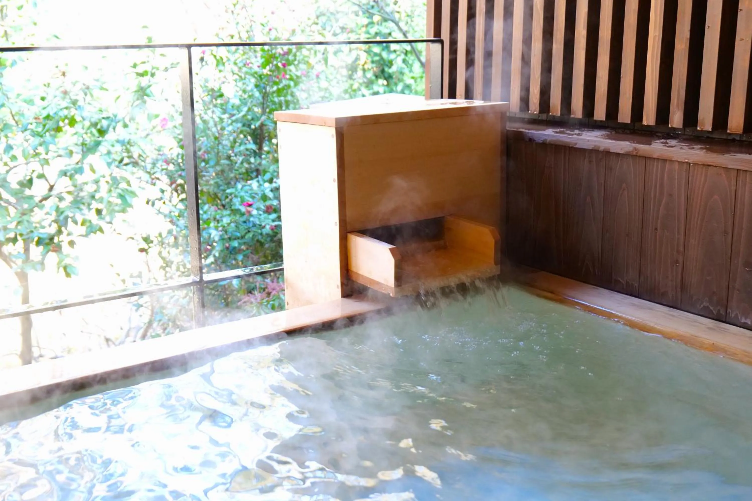 Public Bath in Nikko Hoshino Yado