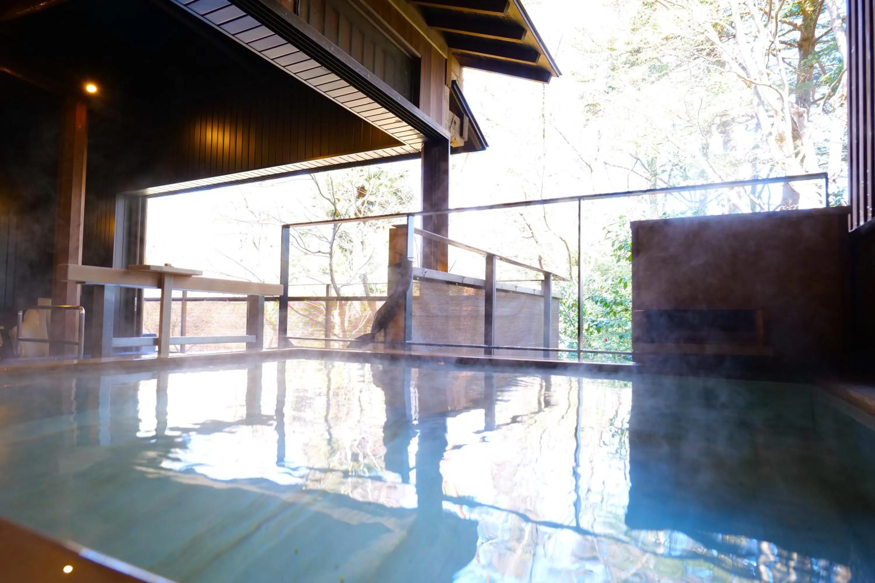 Hot Spring Bath in Nikko Hoshino Yado