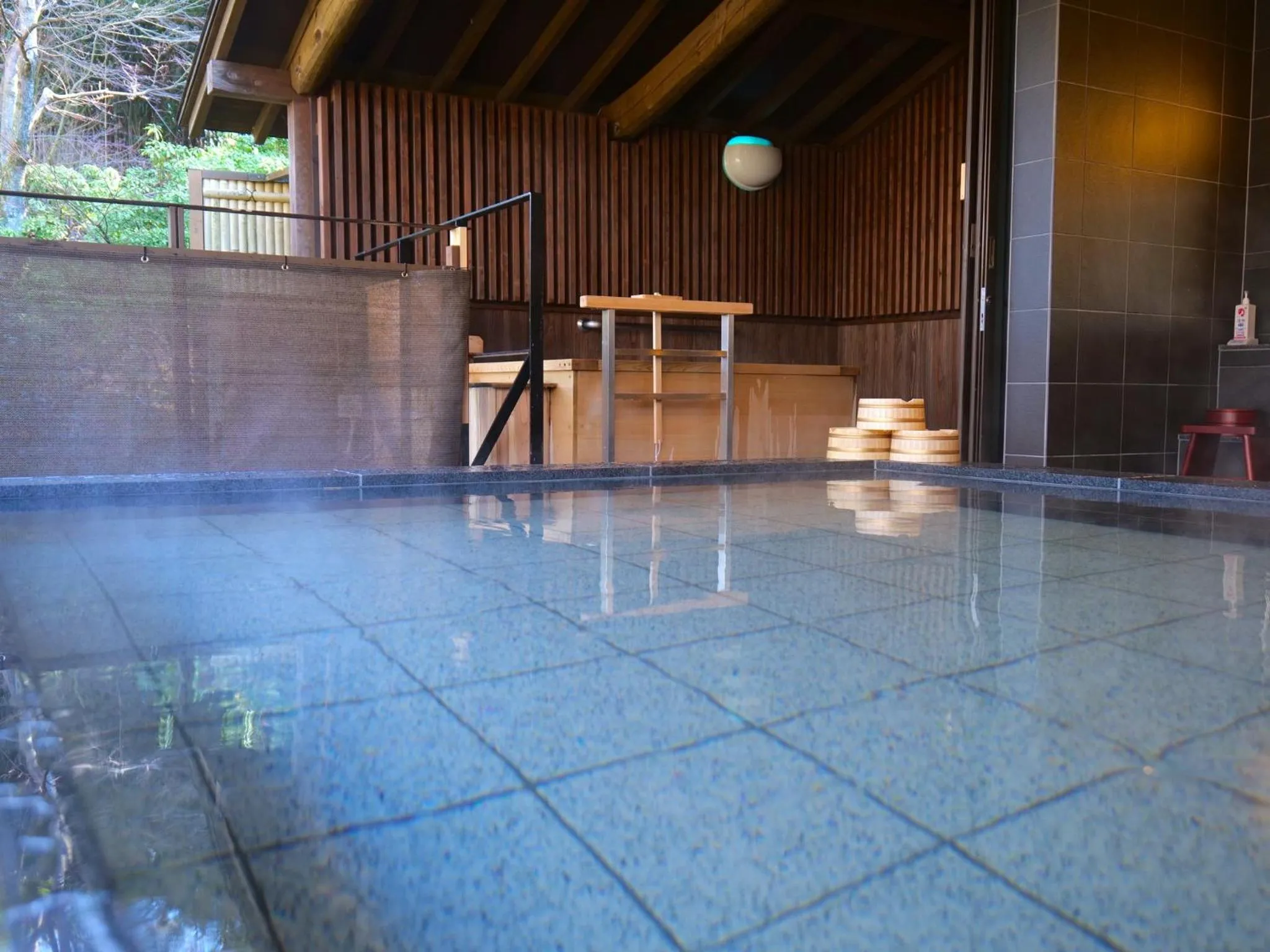 Public Bath in Nikko Hoshino Yado